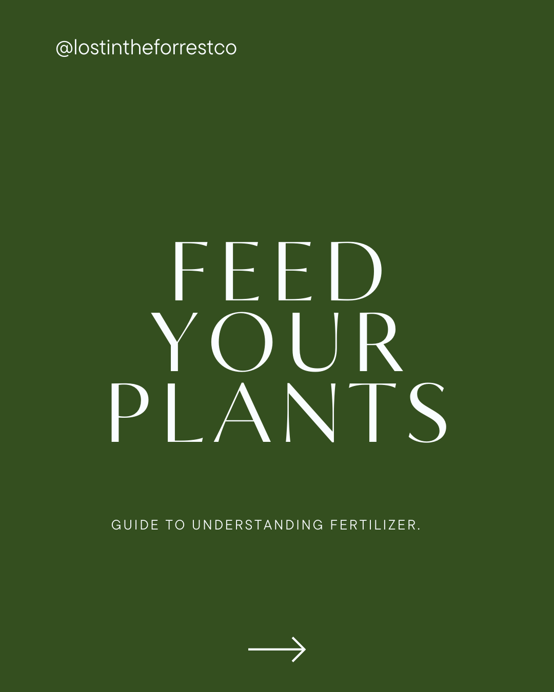 house plant nutrients Flourish Houseplant Food – ROOT and SPLENDOR main image 0