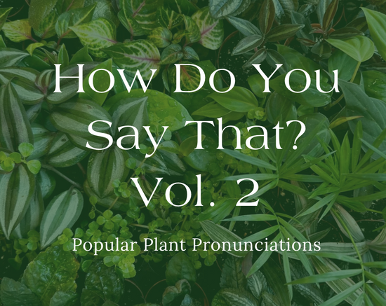How Do You Say That? Vol. 2 - Popular Plant Pronunciations