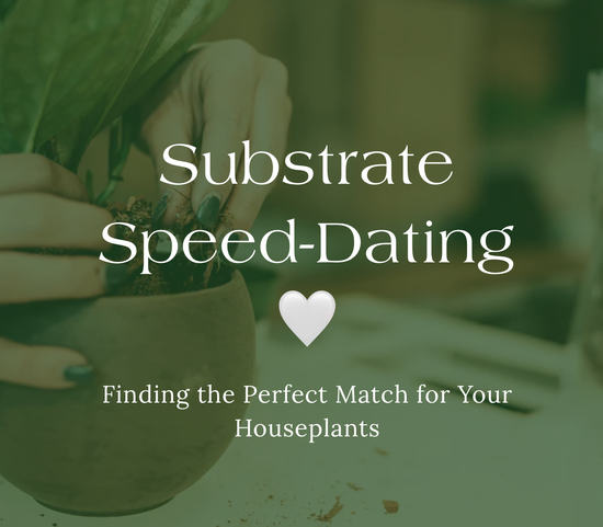 Substrate Speed-Dating: Finding the Perfect Substrate Match for Your Houseplants