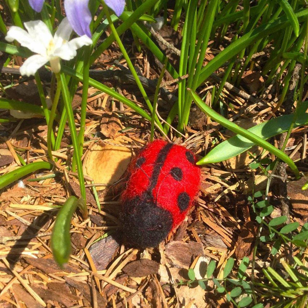 Ladybugs & Bees Felting Kit