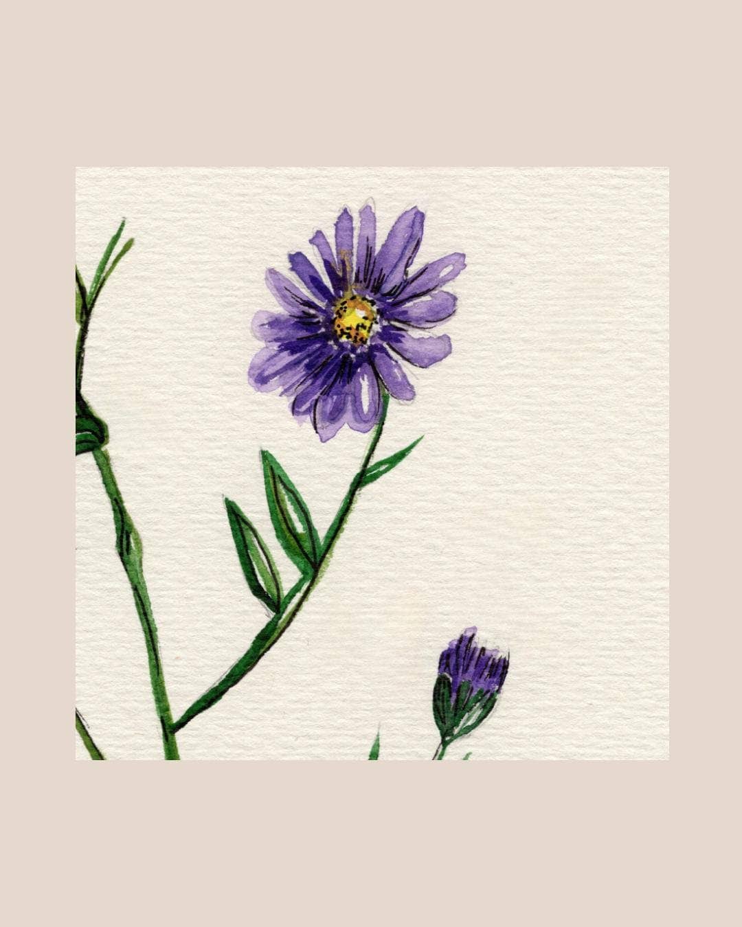 Wildflower Watercolor Print Botanical Wall Art