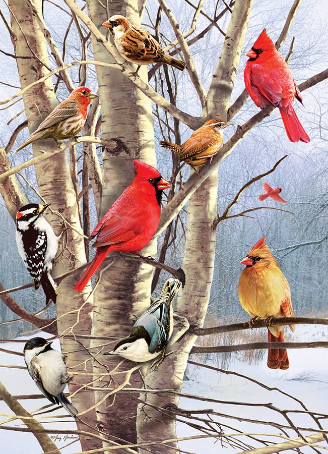 Winter Birds puzzle
