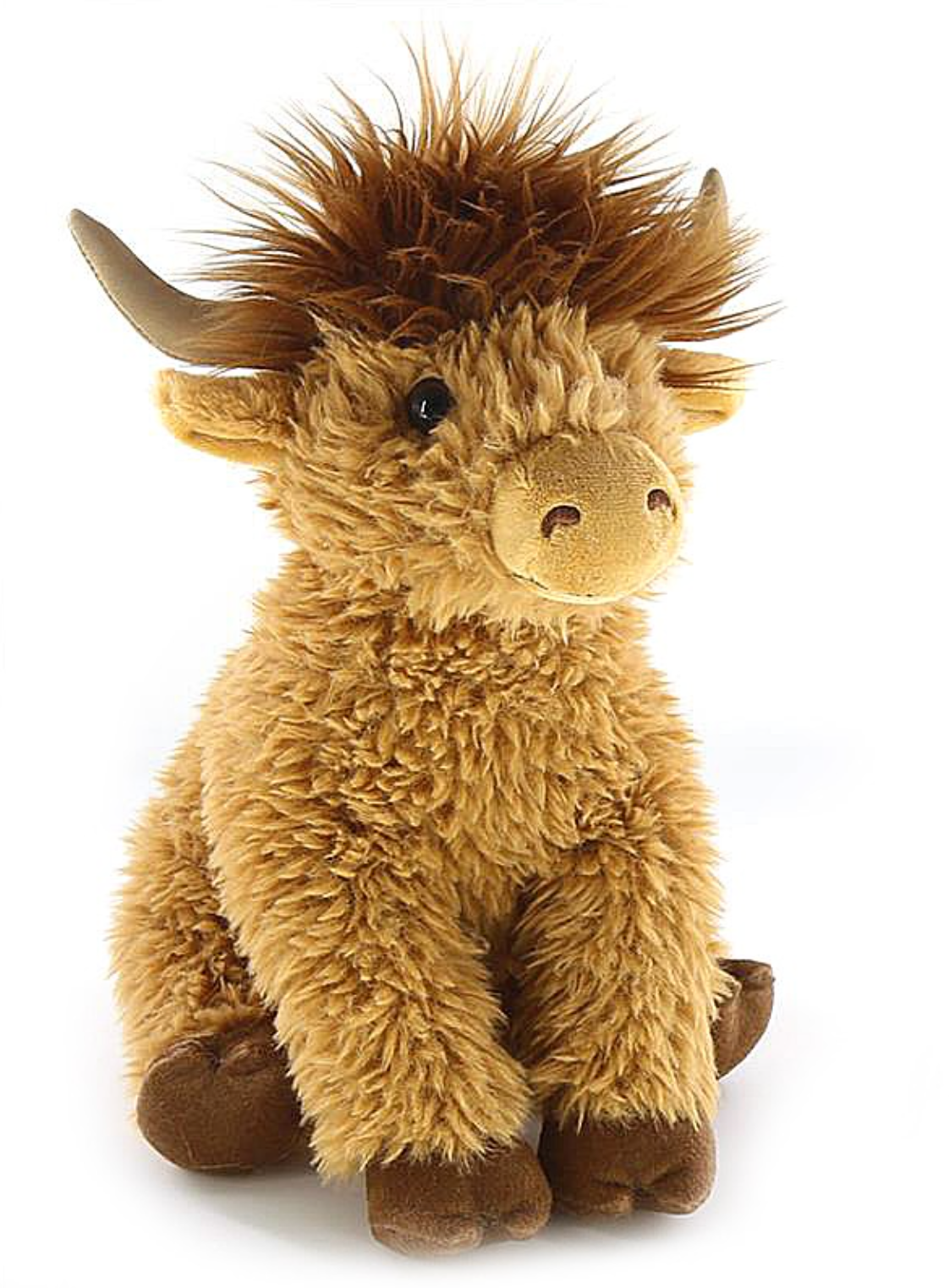 Wild Onez Highland Cow