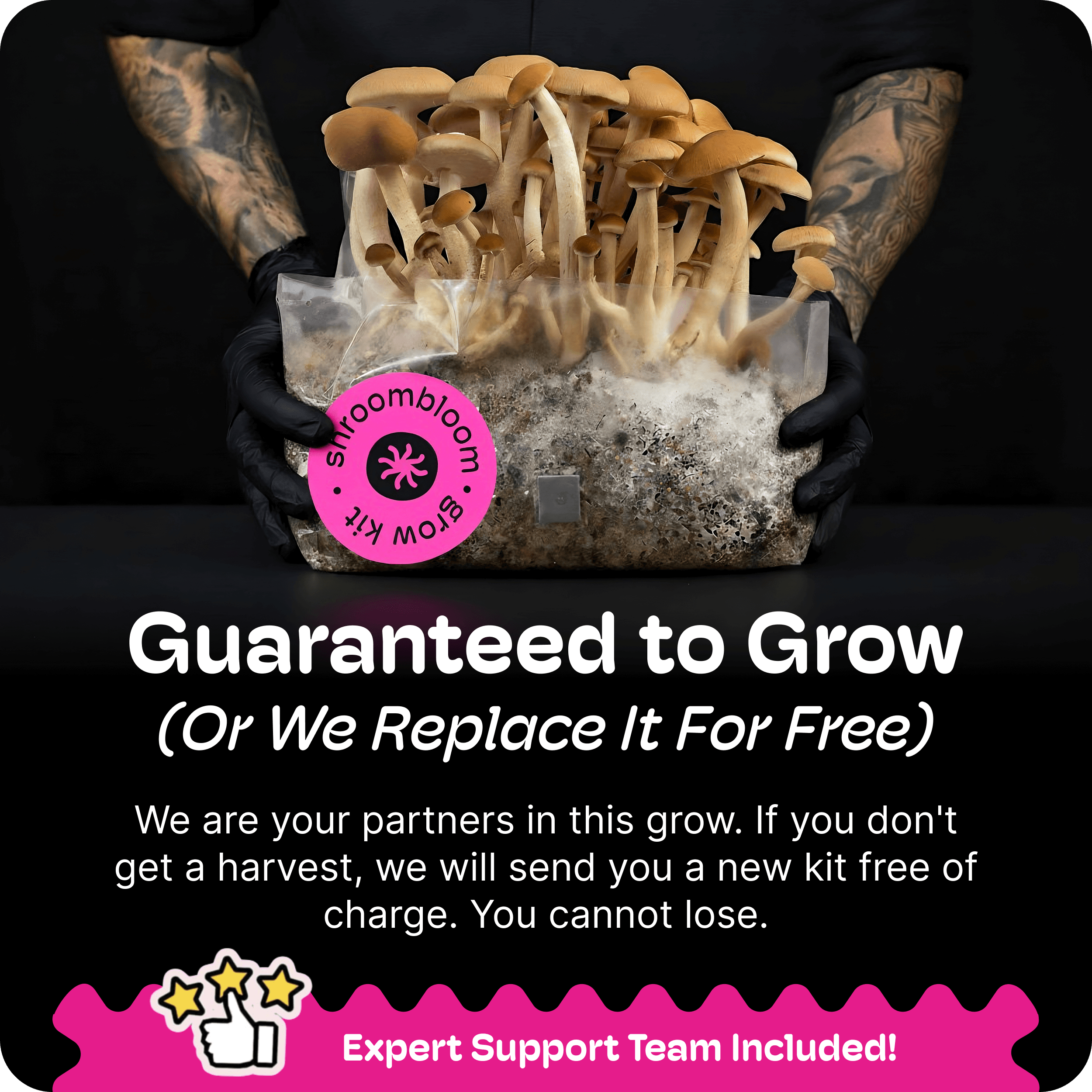 All-In-One Mushroom Grow Kit