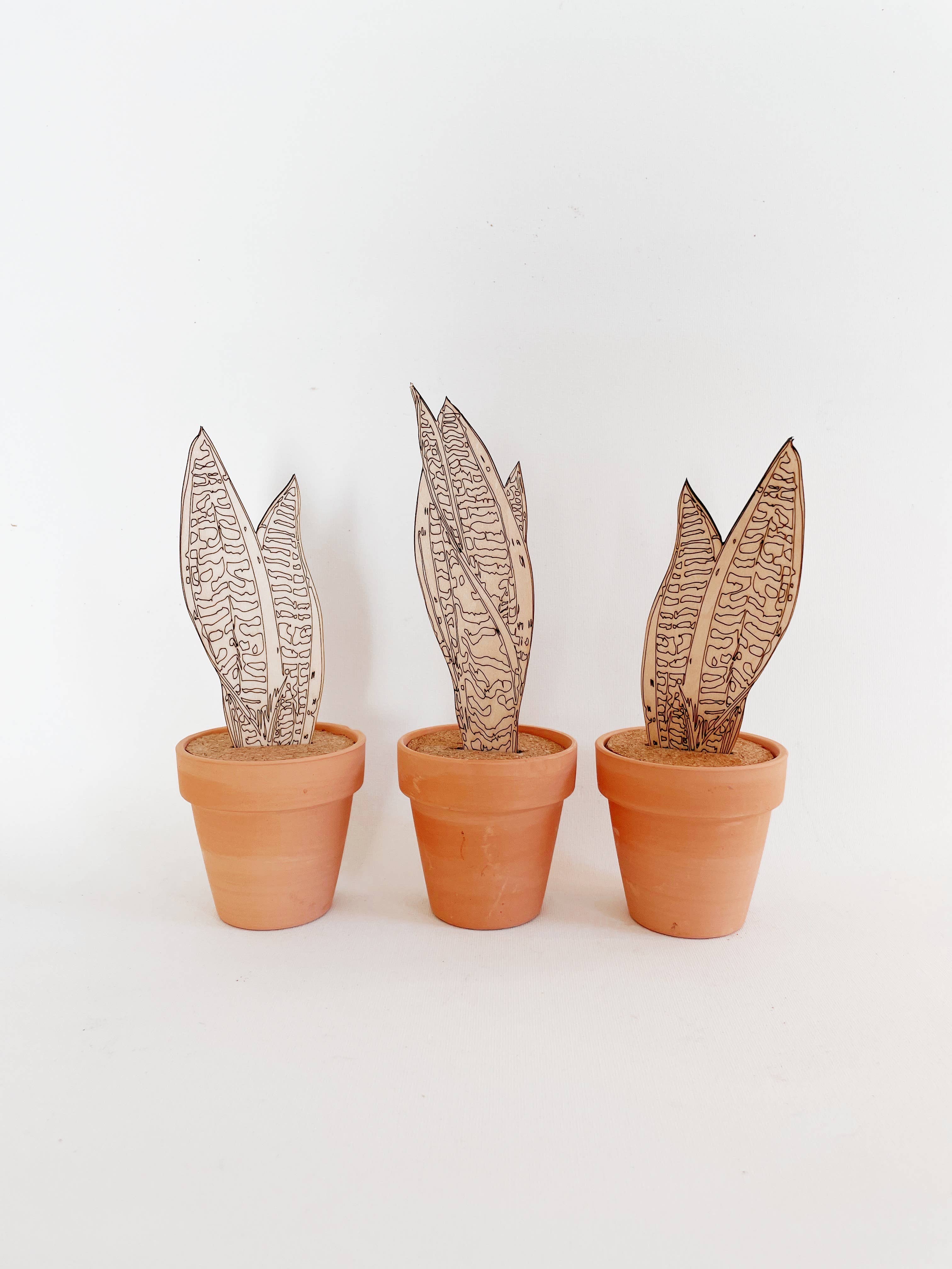 Paint Your Own: Snake Plant