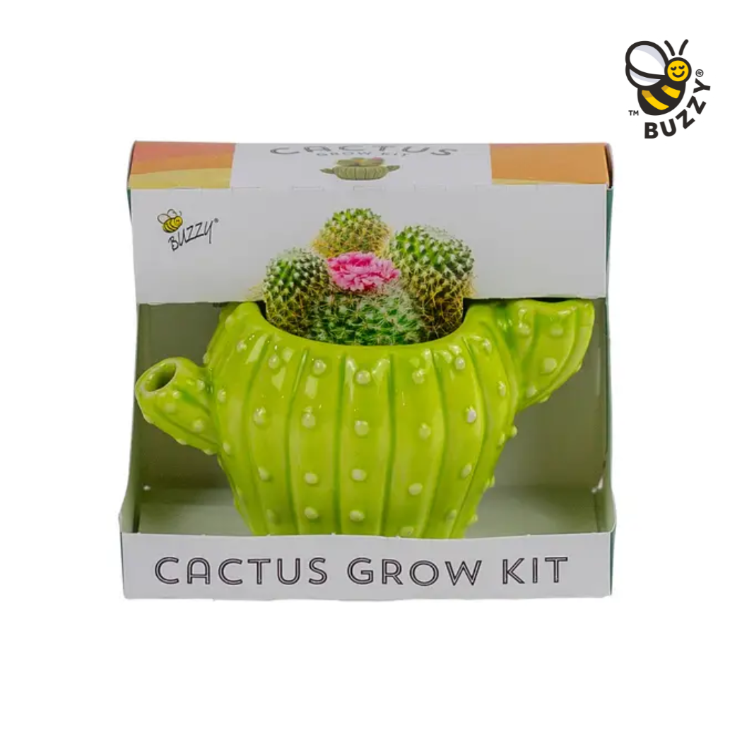 Cactus Grow Kit