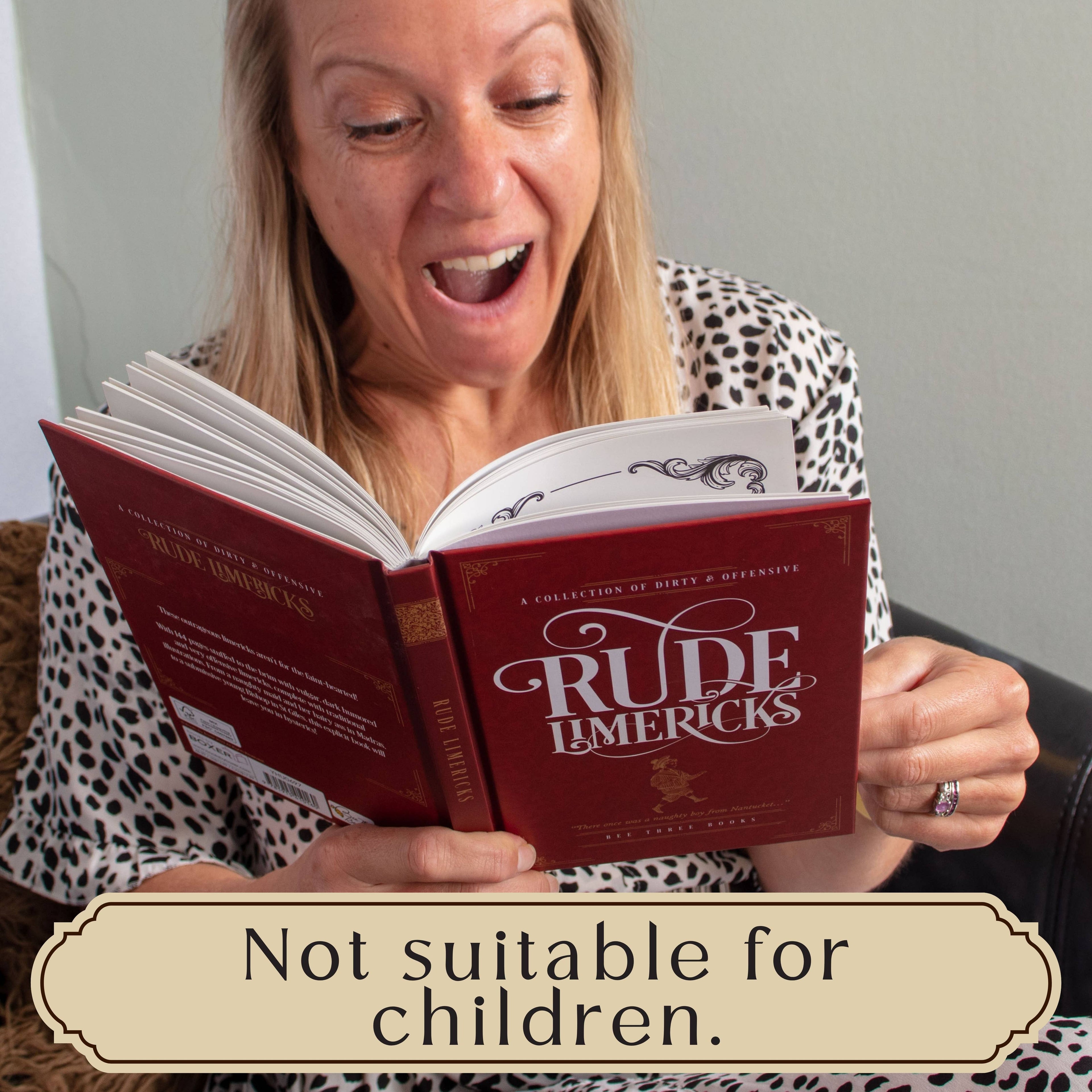 Rude Limericks Humor Gift Book