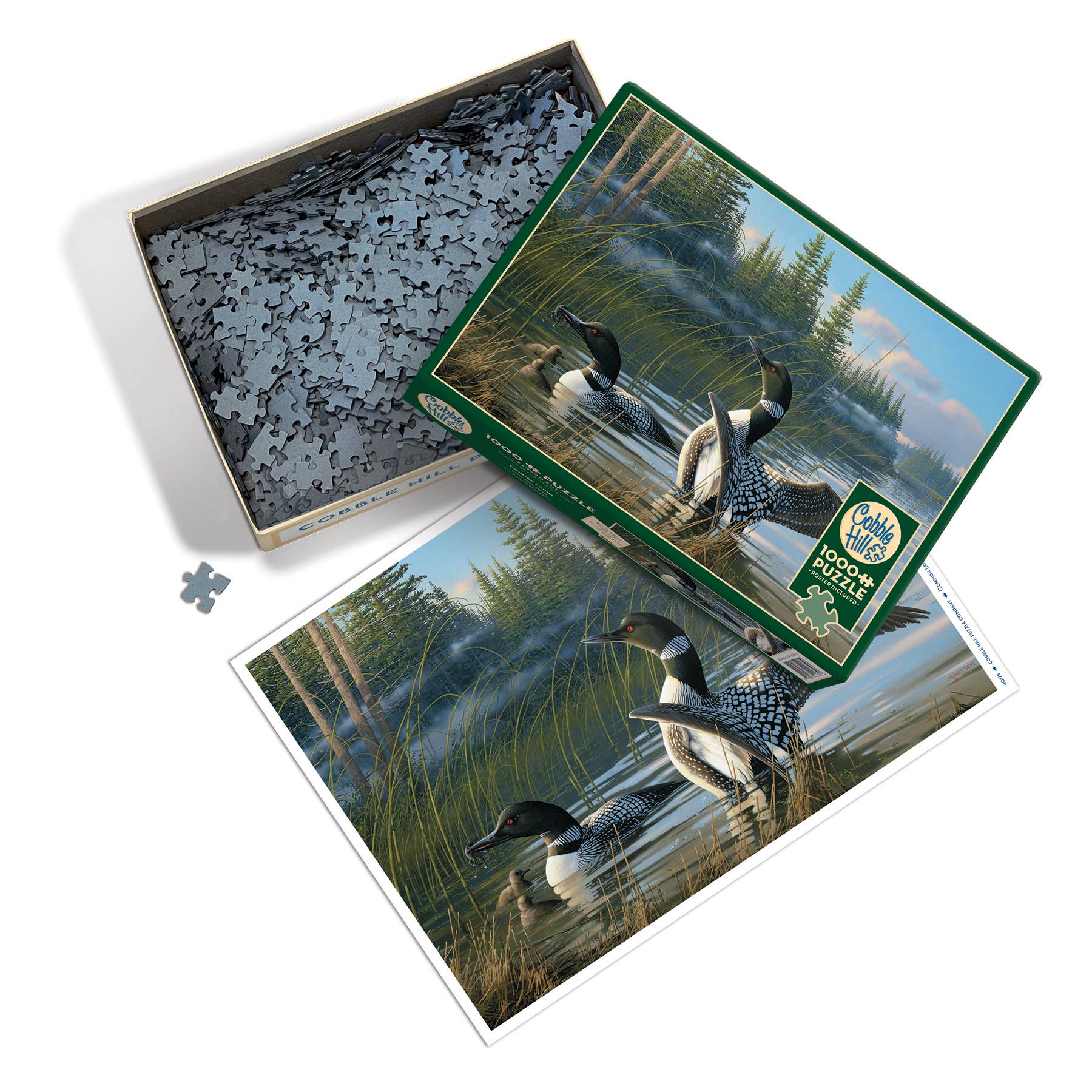 Common Loons puzzle