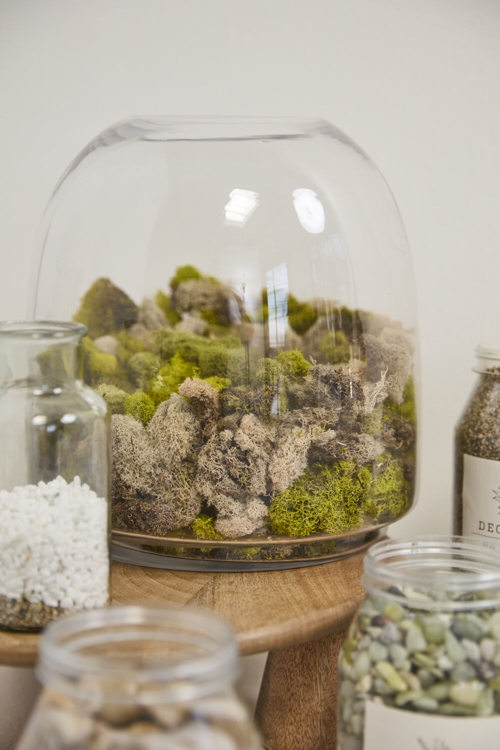 Oliver Terrarium