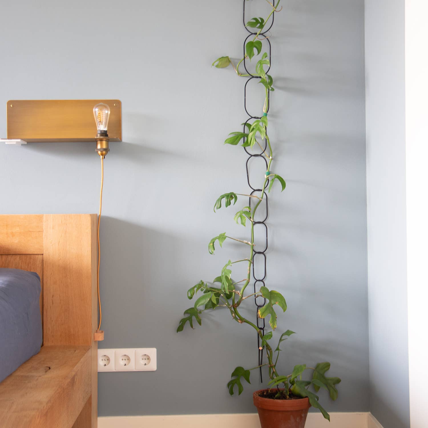 Black Brass Chain - Plant Support for climbing plants