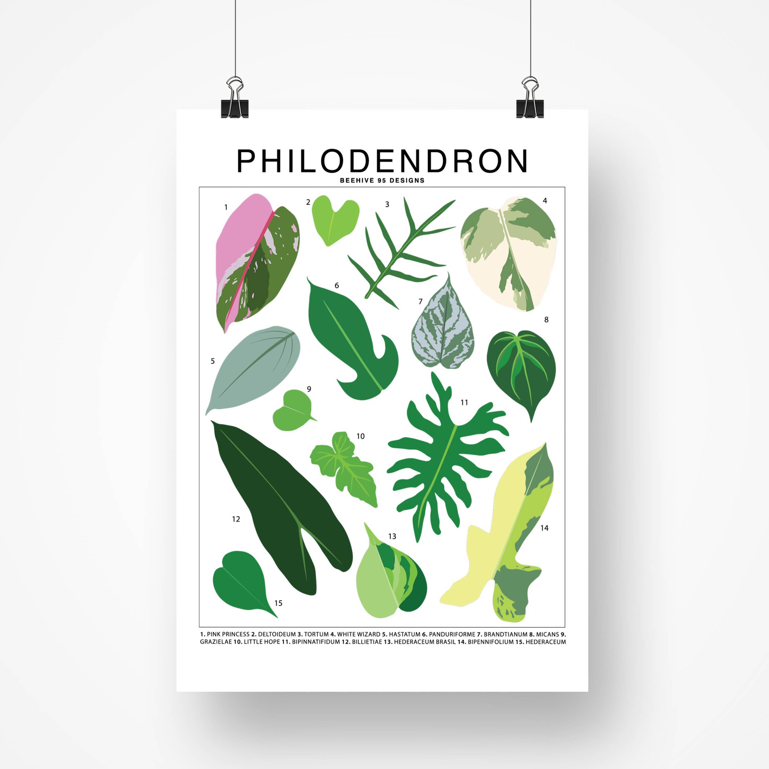 Species ID Chart - Botanical Houseplant Art Print