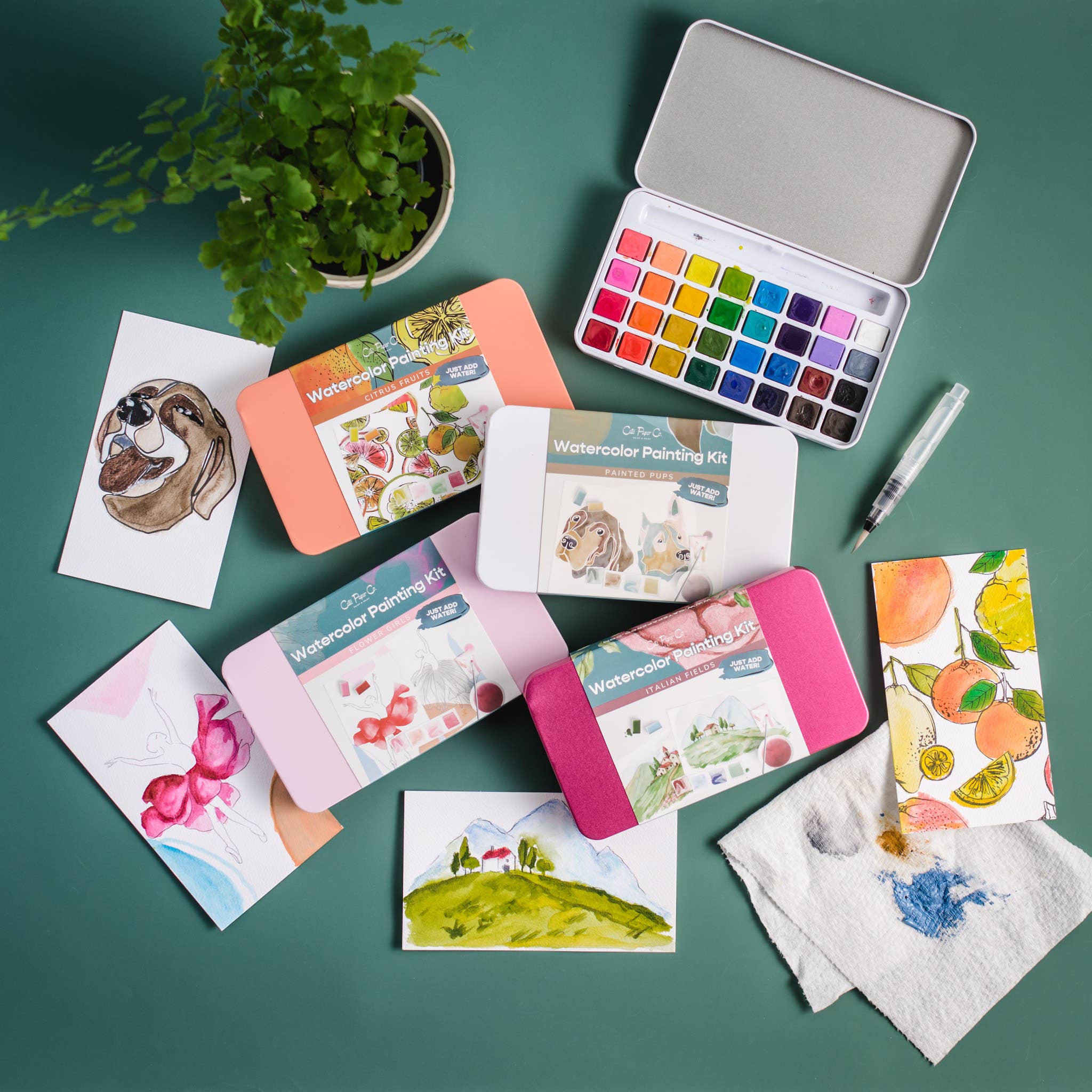 Citrus Fruits watercolor painting kit