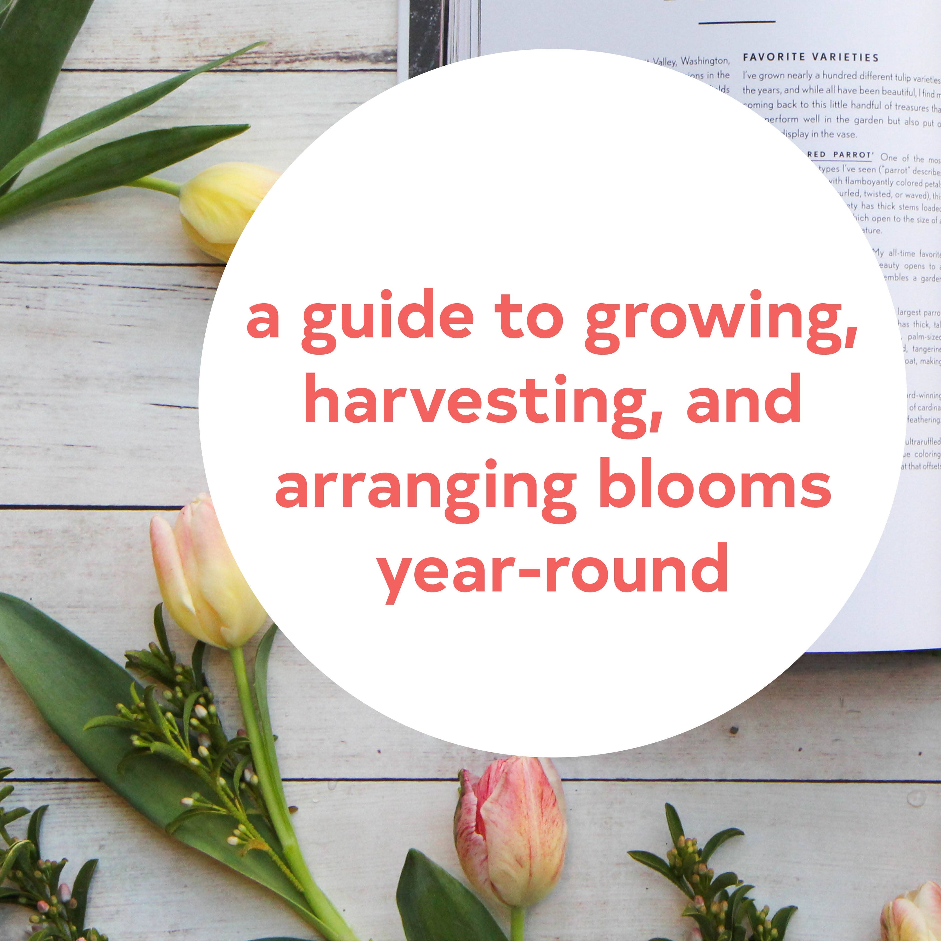 Floret Farm&