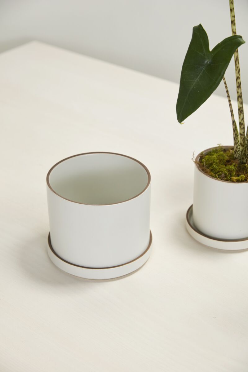 Author Pot with Saucer