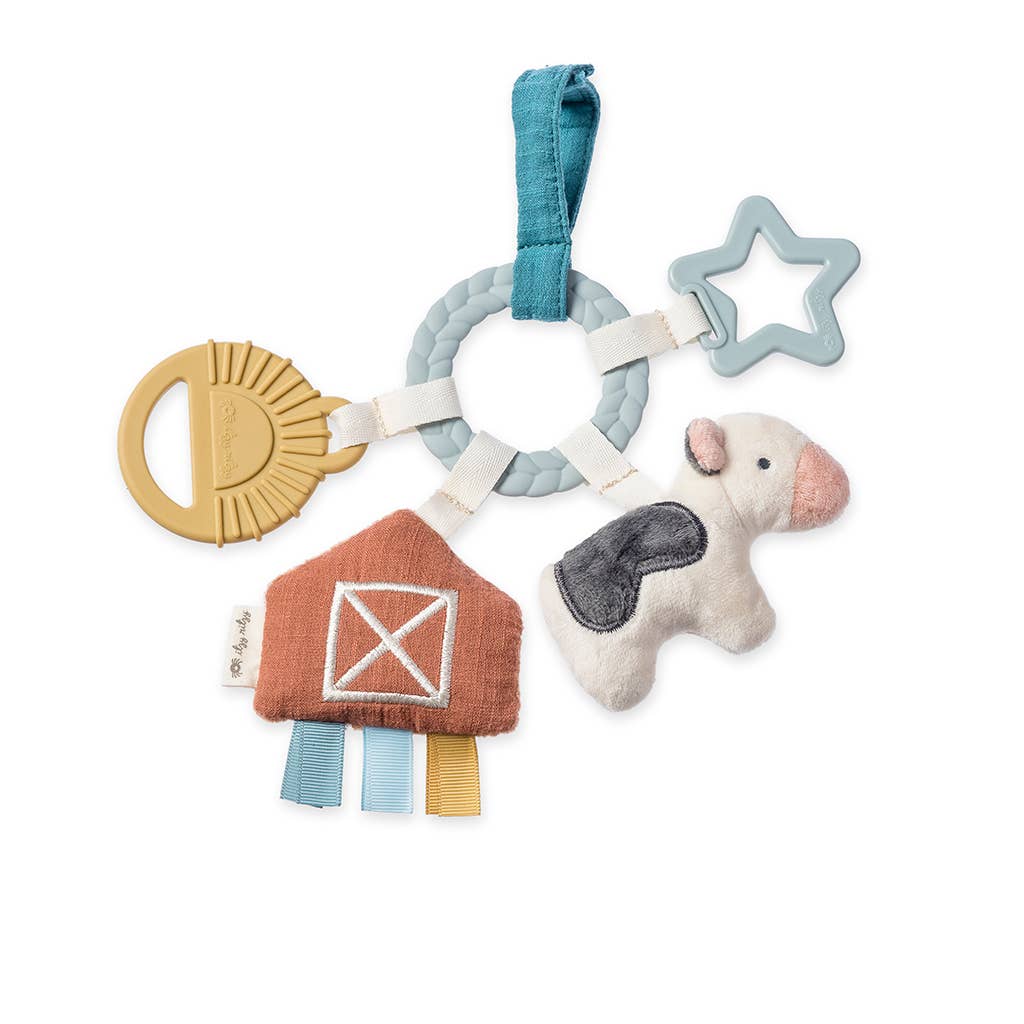 Busy Ring Teething Toy