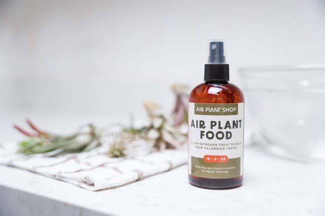 Air Plant Fertilizer