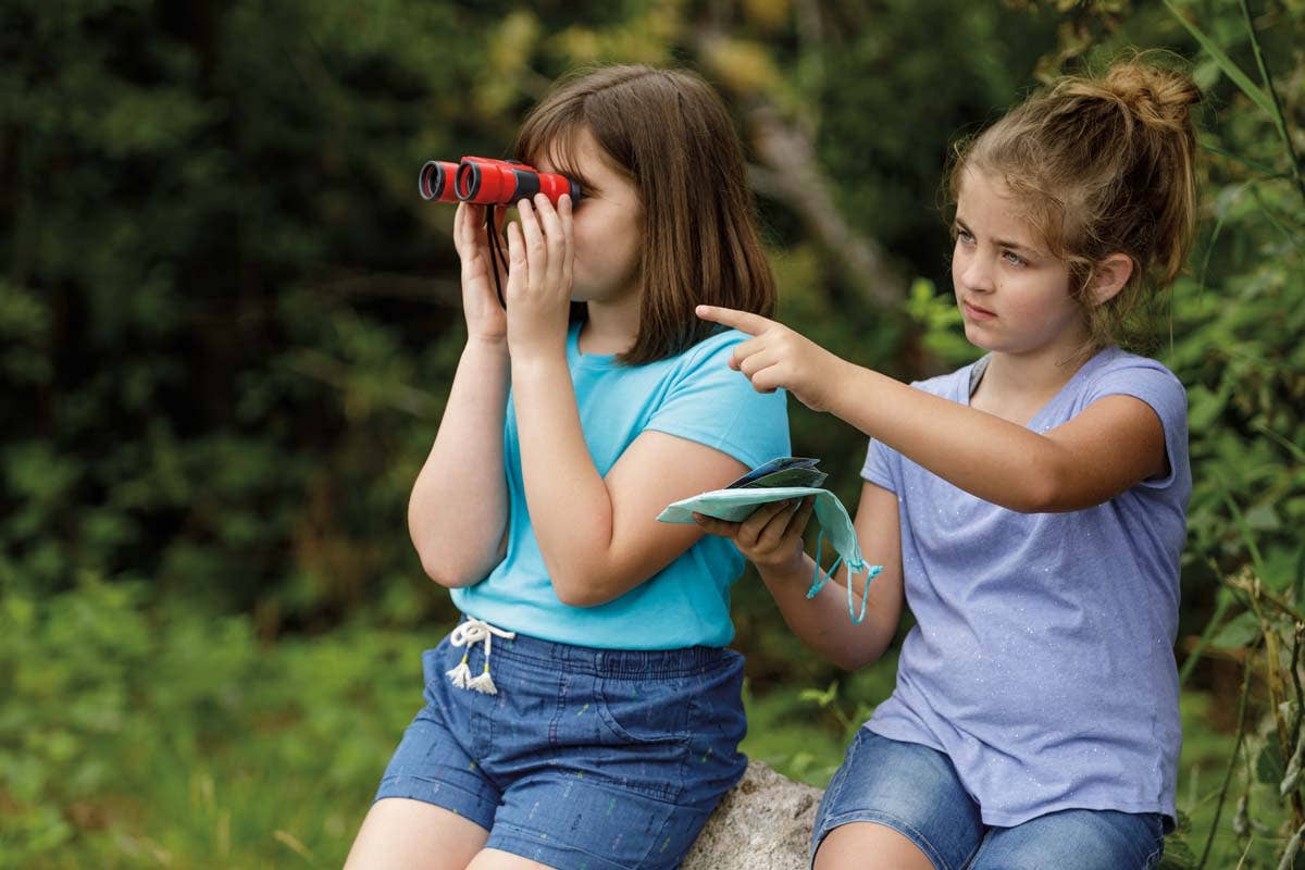 Bird Watching for Kids