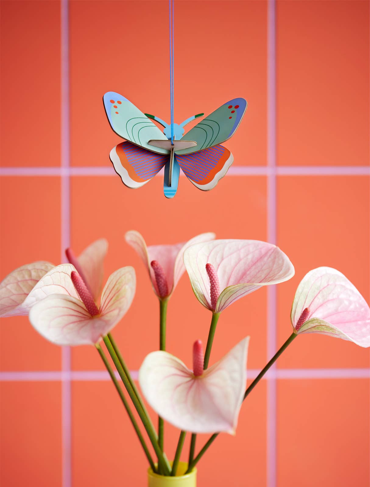 Dotted butterfly