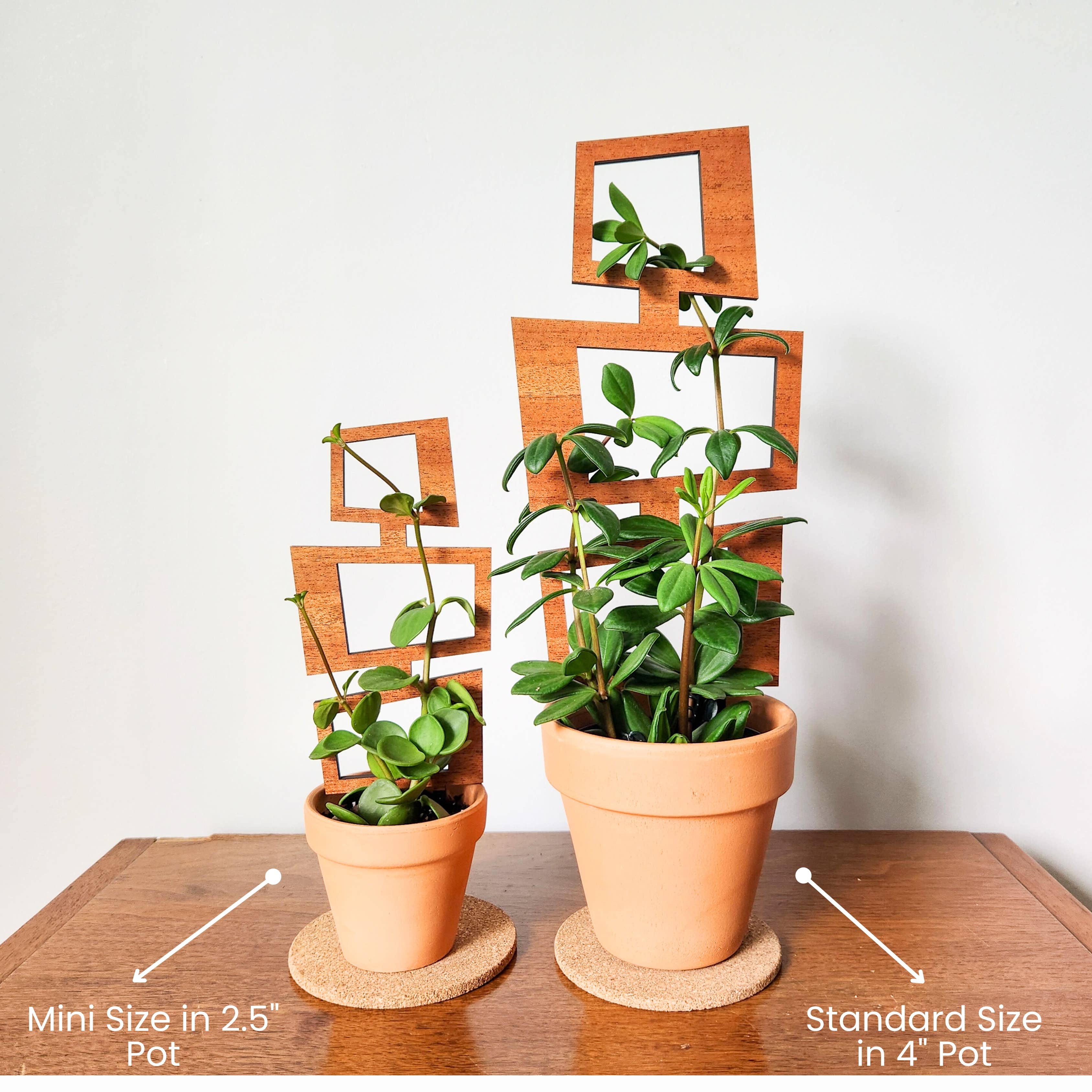 Wood Indoor Plant Trellis (Rectangle)