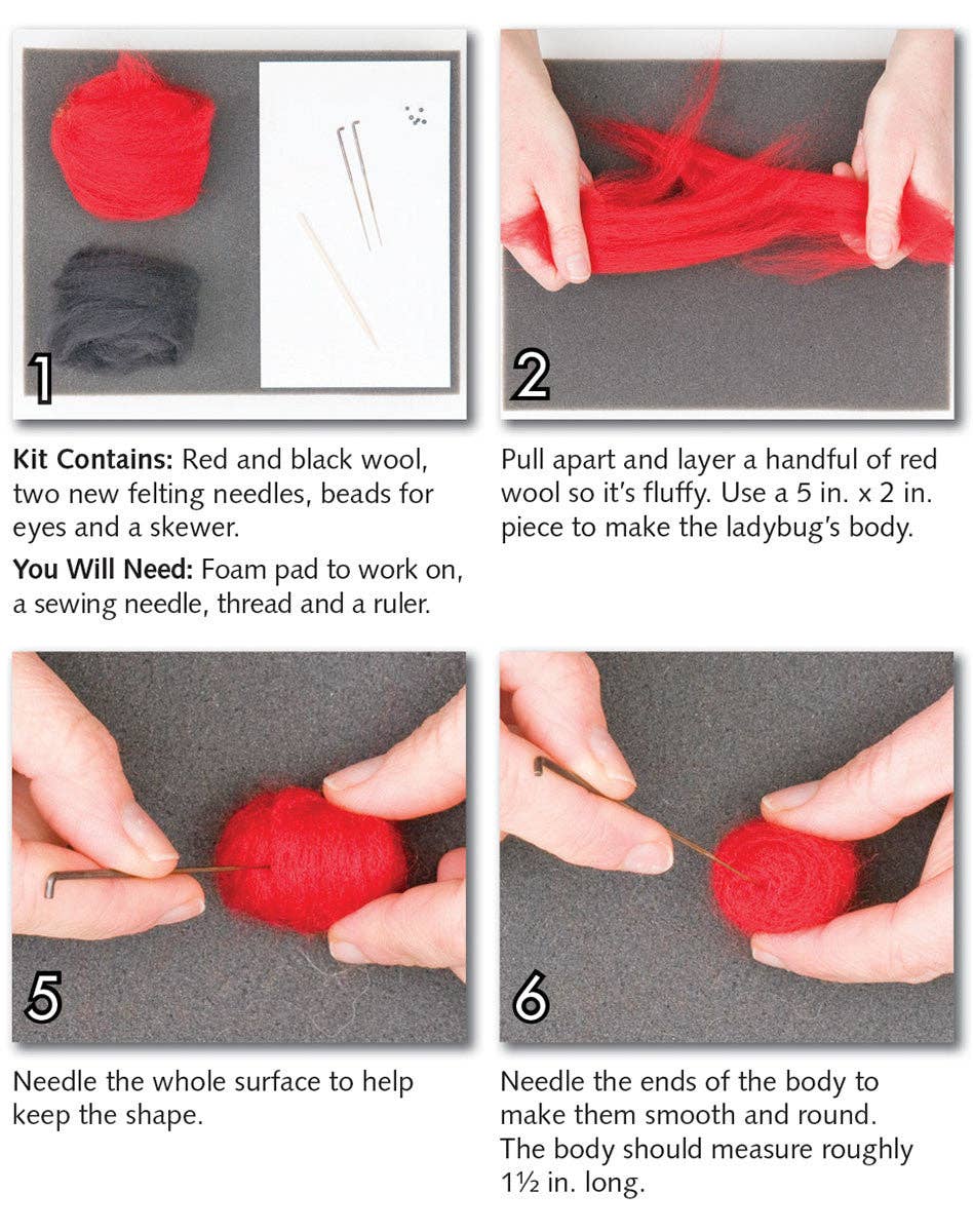 Ladybugs & Bees Felting Kit