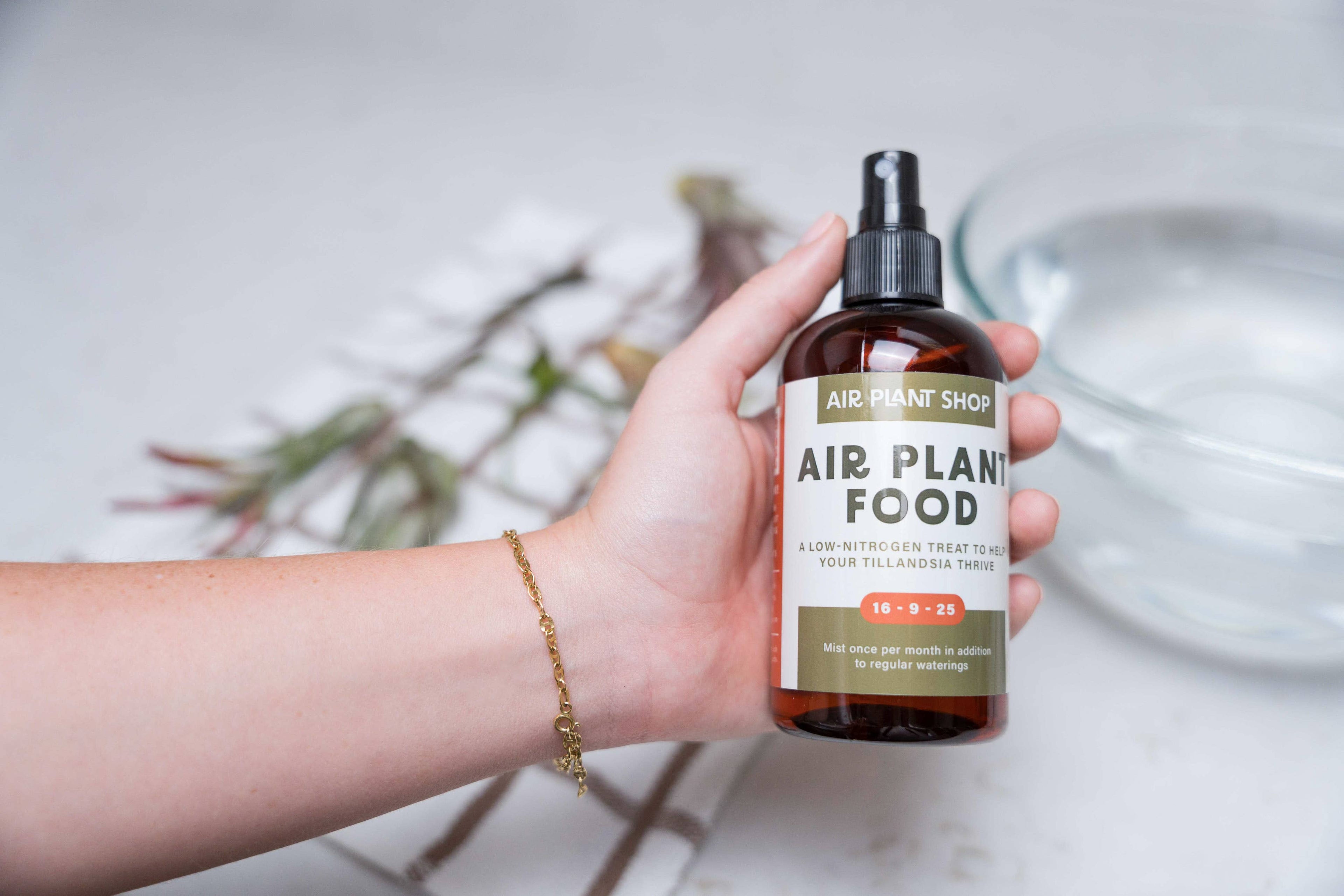 Air Plant Fertilizer