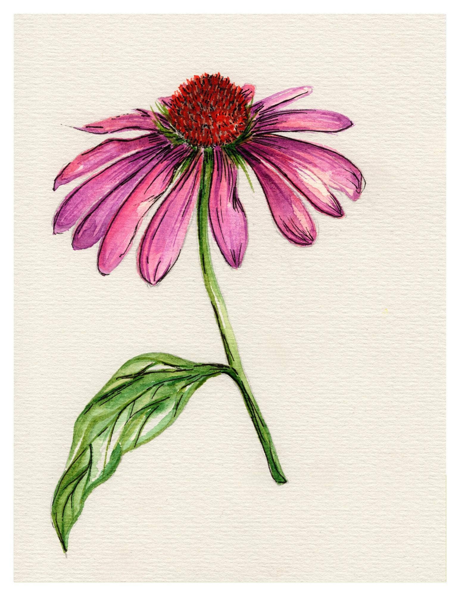Wildflower Watercolor Print Botanical Wall Art