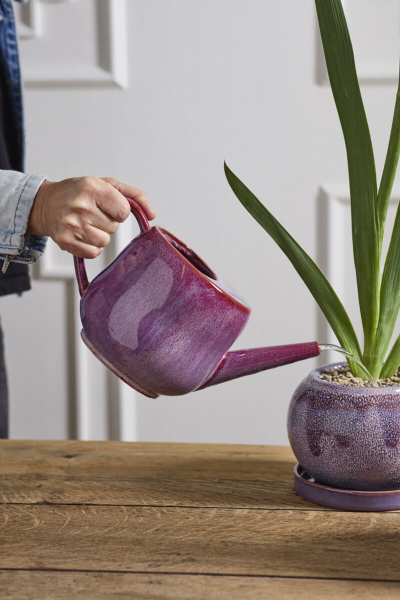 Veronica Watering Can