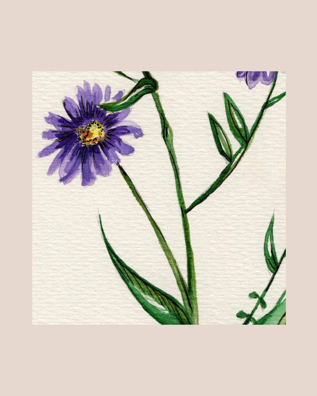Wildflower Watercolor Print Botanical Wall Art