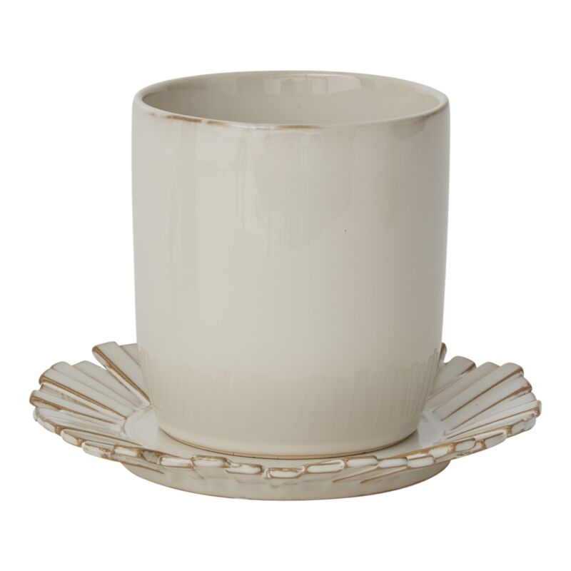 Dermot Pot