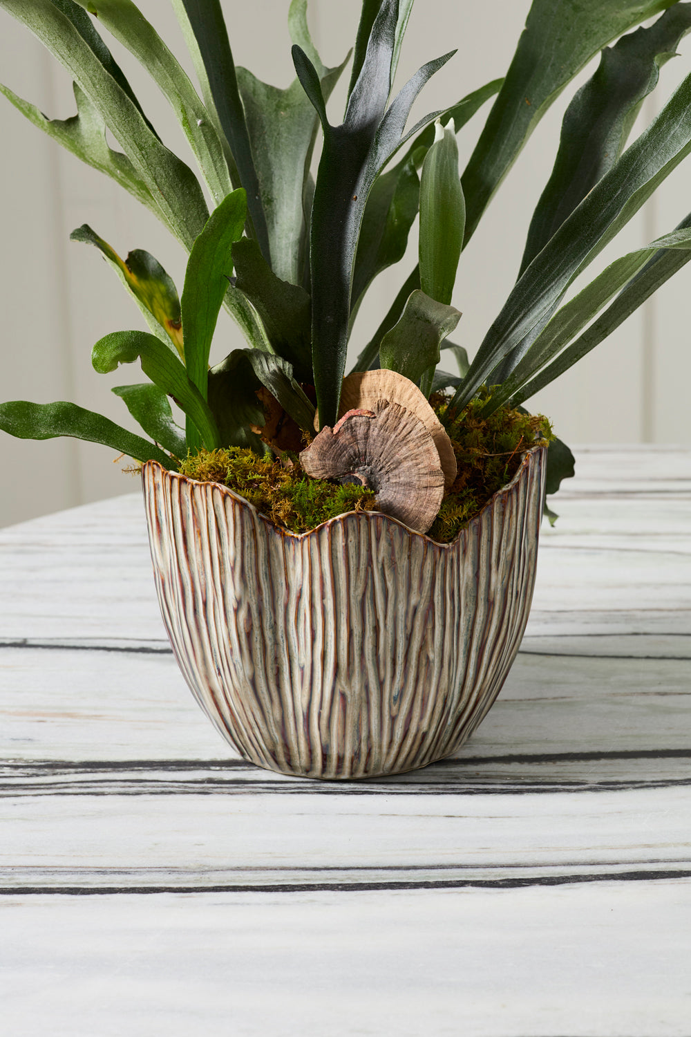 Capira Pot