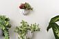 Wim Wall Planter