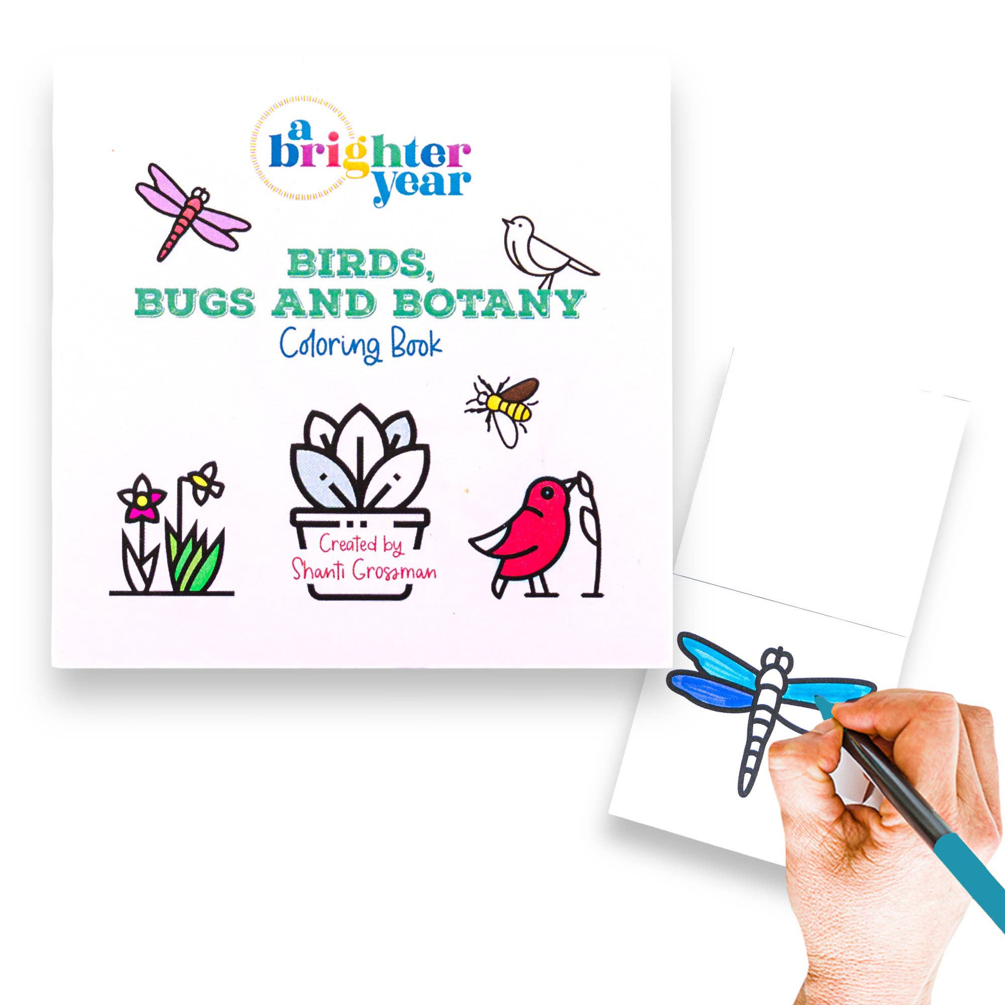 Birds Bugs and Botany Coloring Book