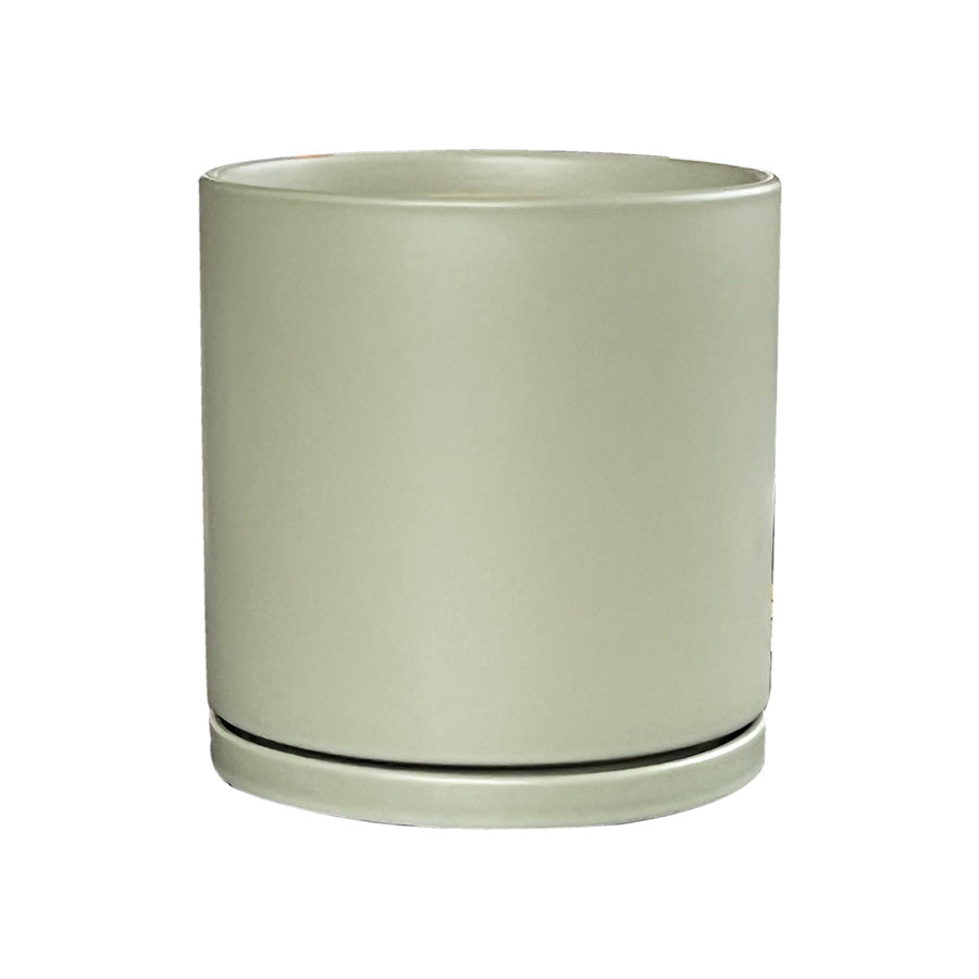 Austin Planter