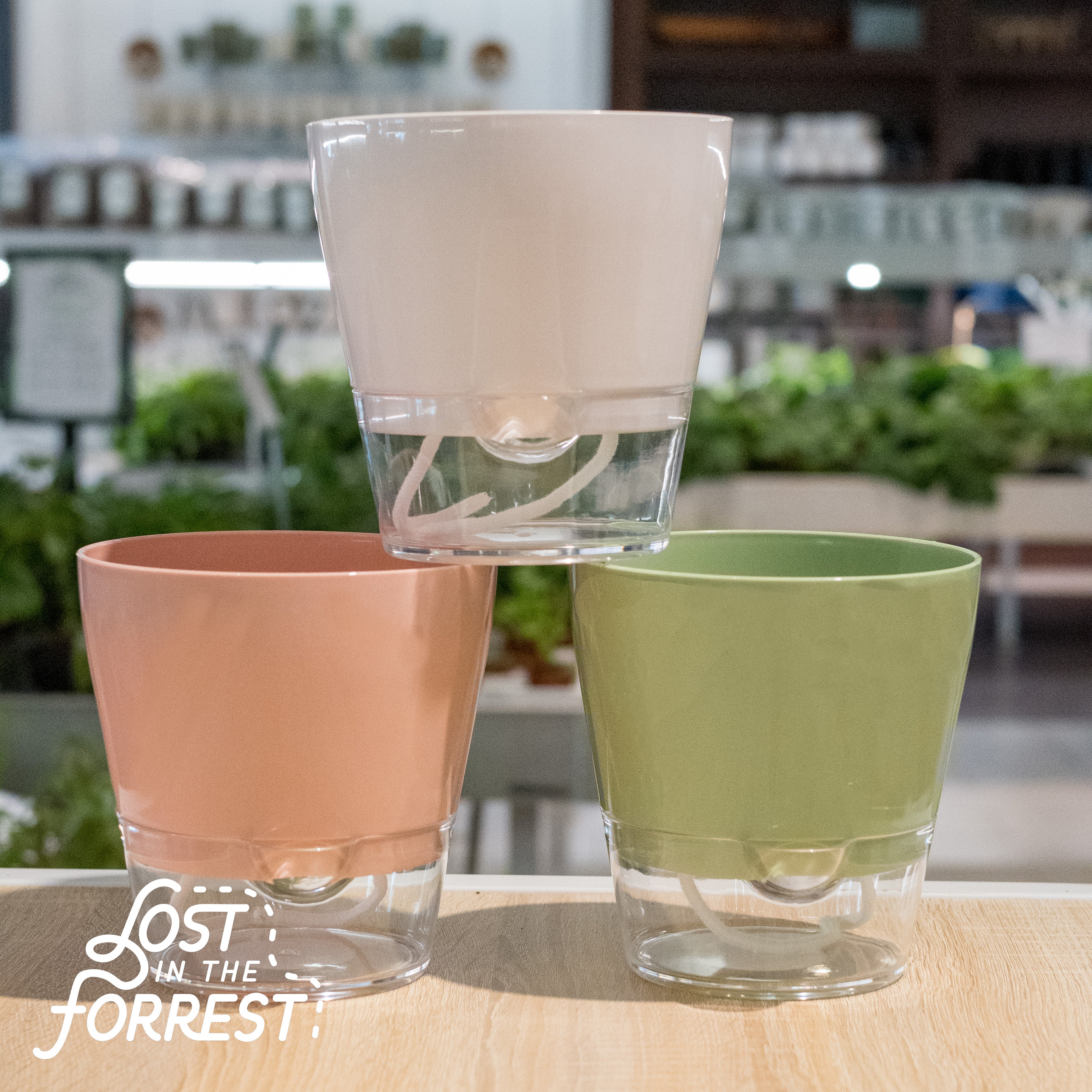 Padua Self-Watering Planter