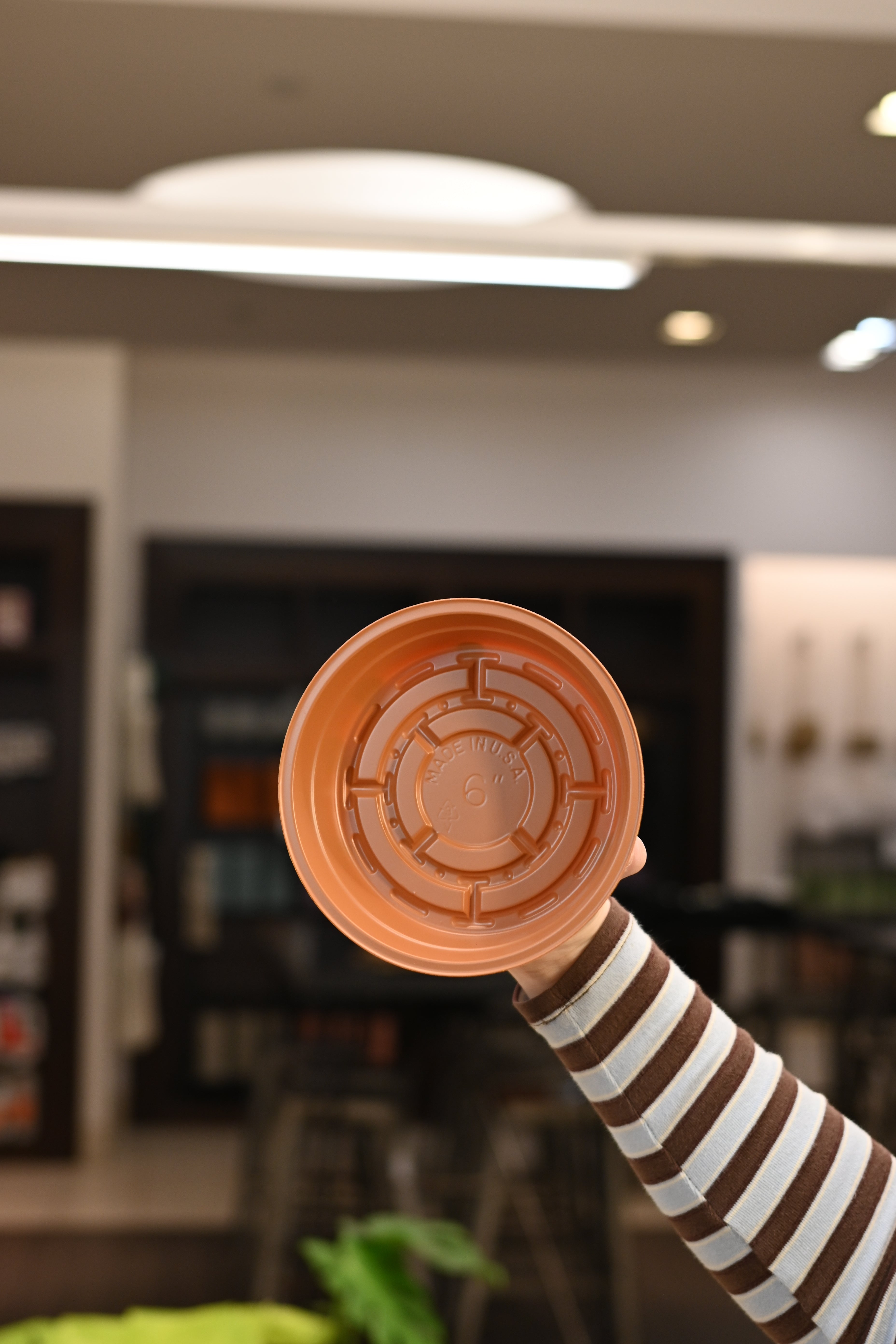 Terracotta Plastic Saucer