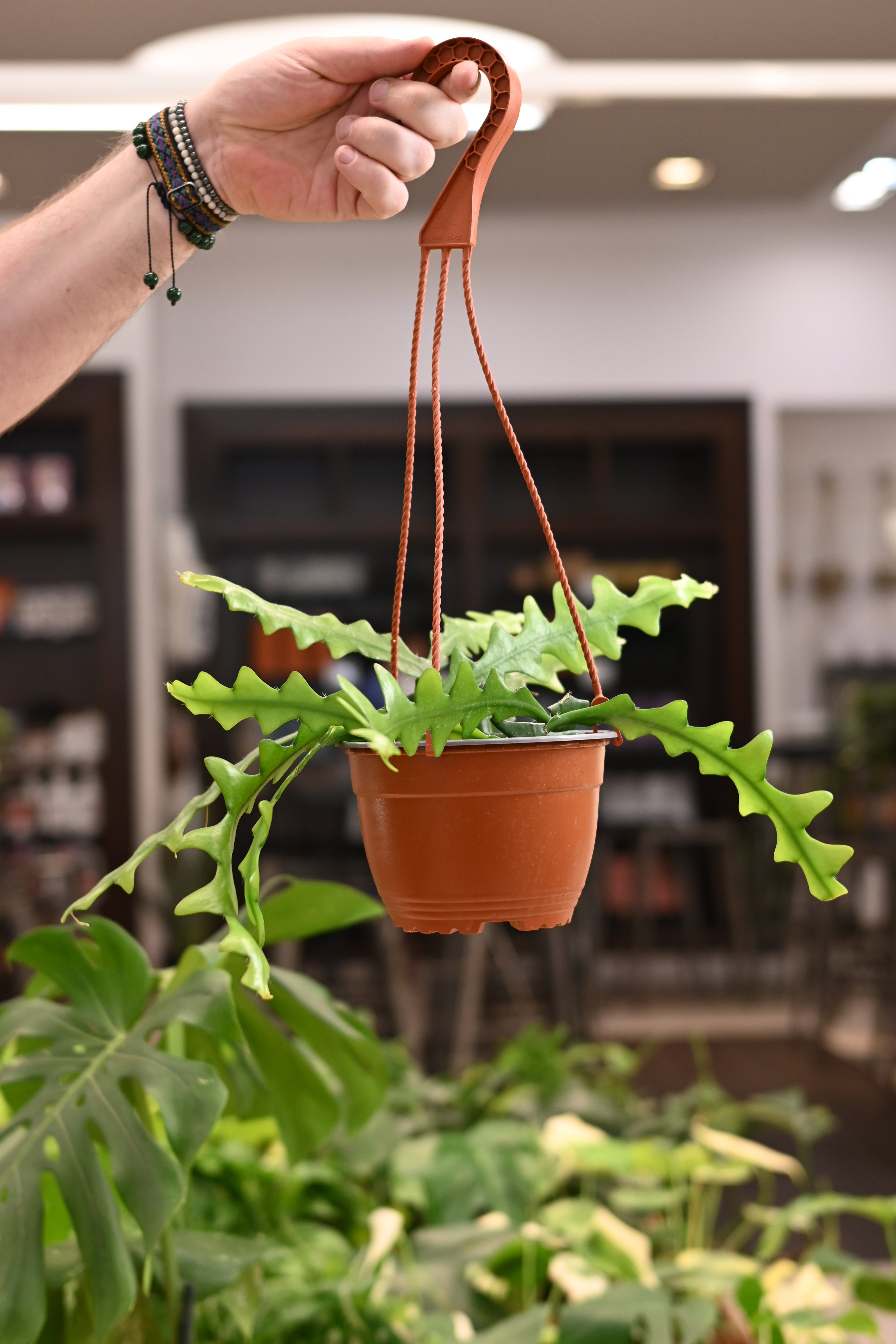 Ric Rac Cactus
