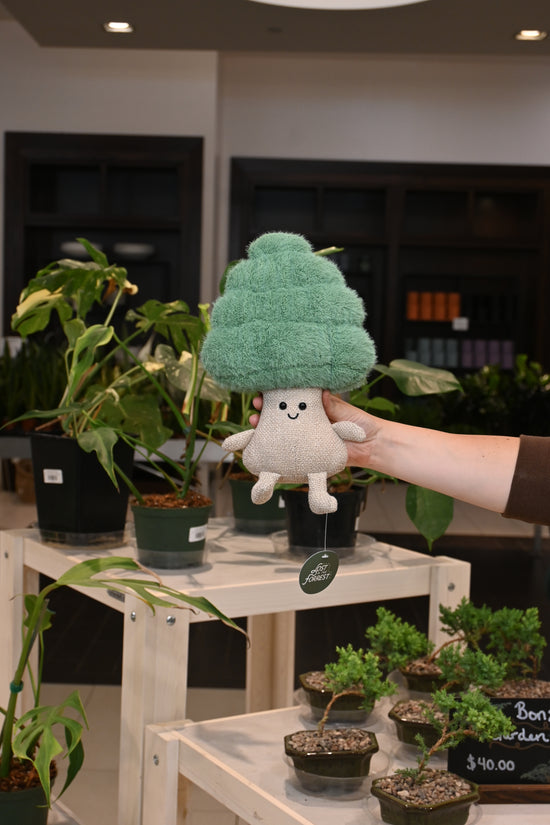 Forrest Plush