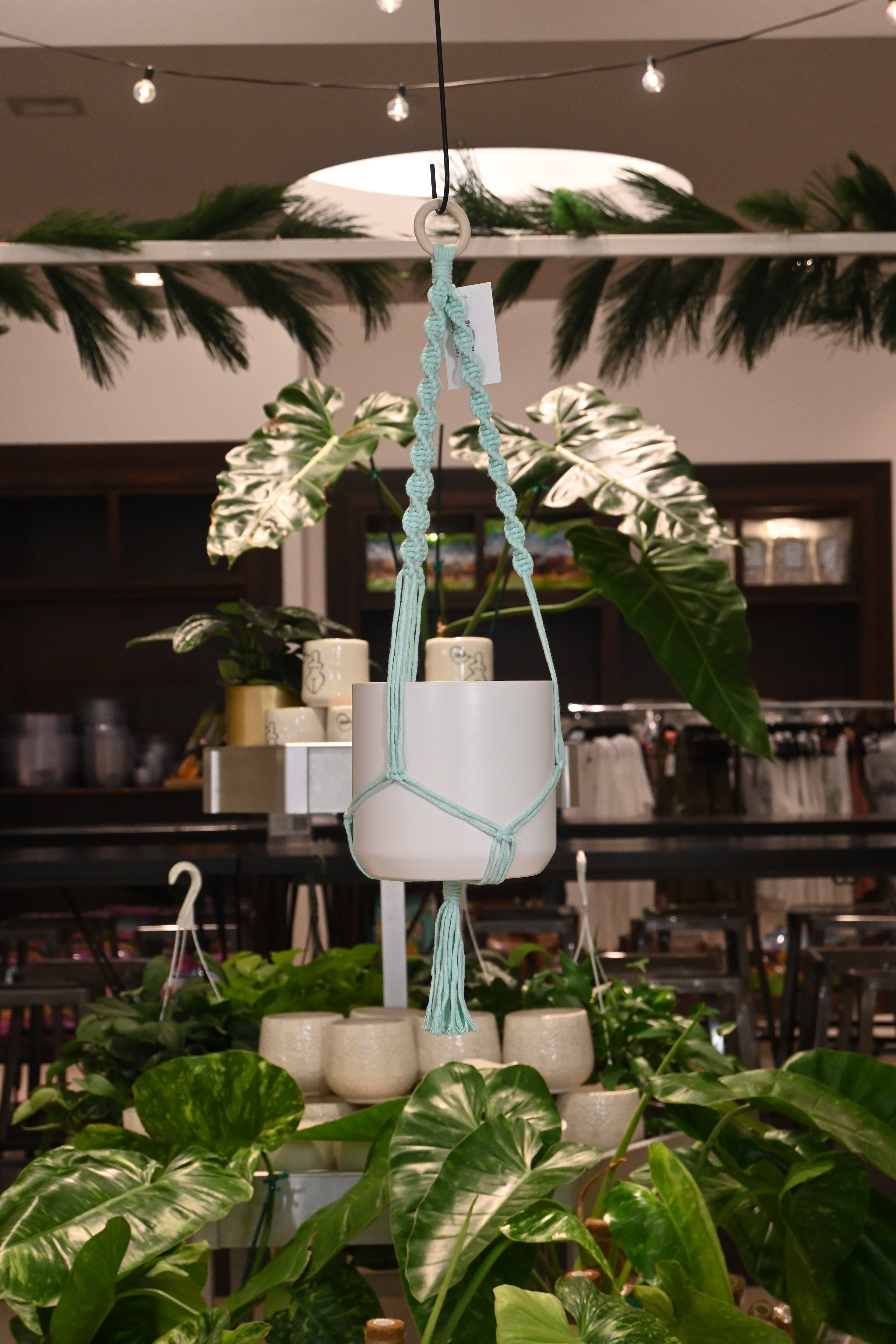 Funky Fibers Macrame Hanger