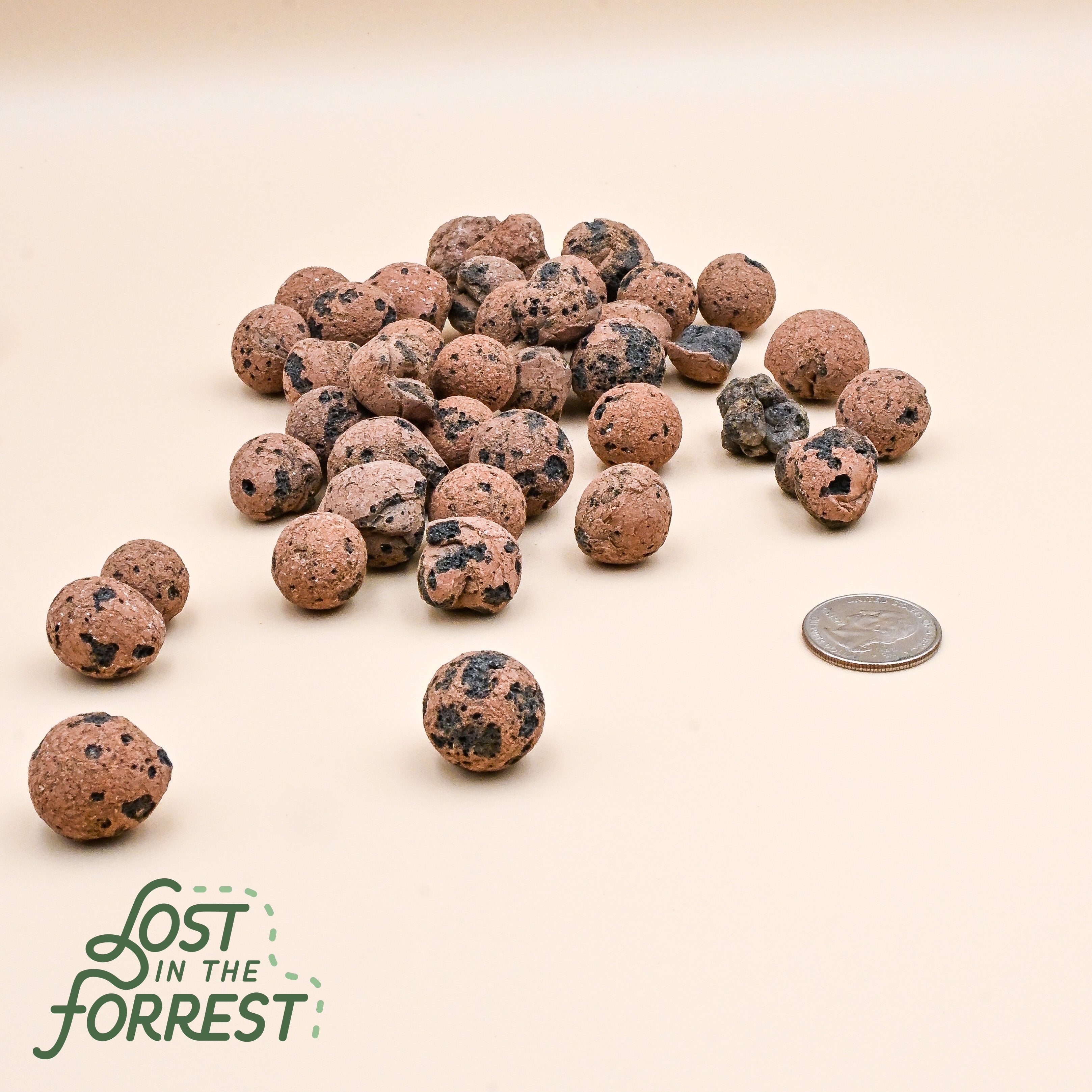 Leca | Lightweight Expanded Clay Aggregate