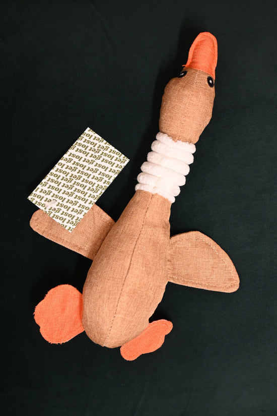 Duck Dog Toy