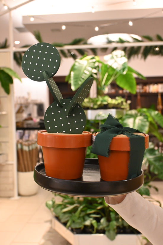 Cactus Coasters