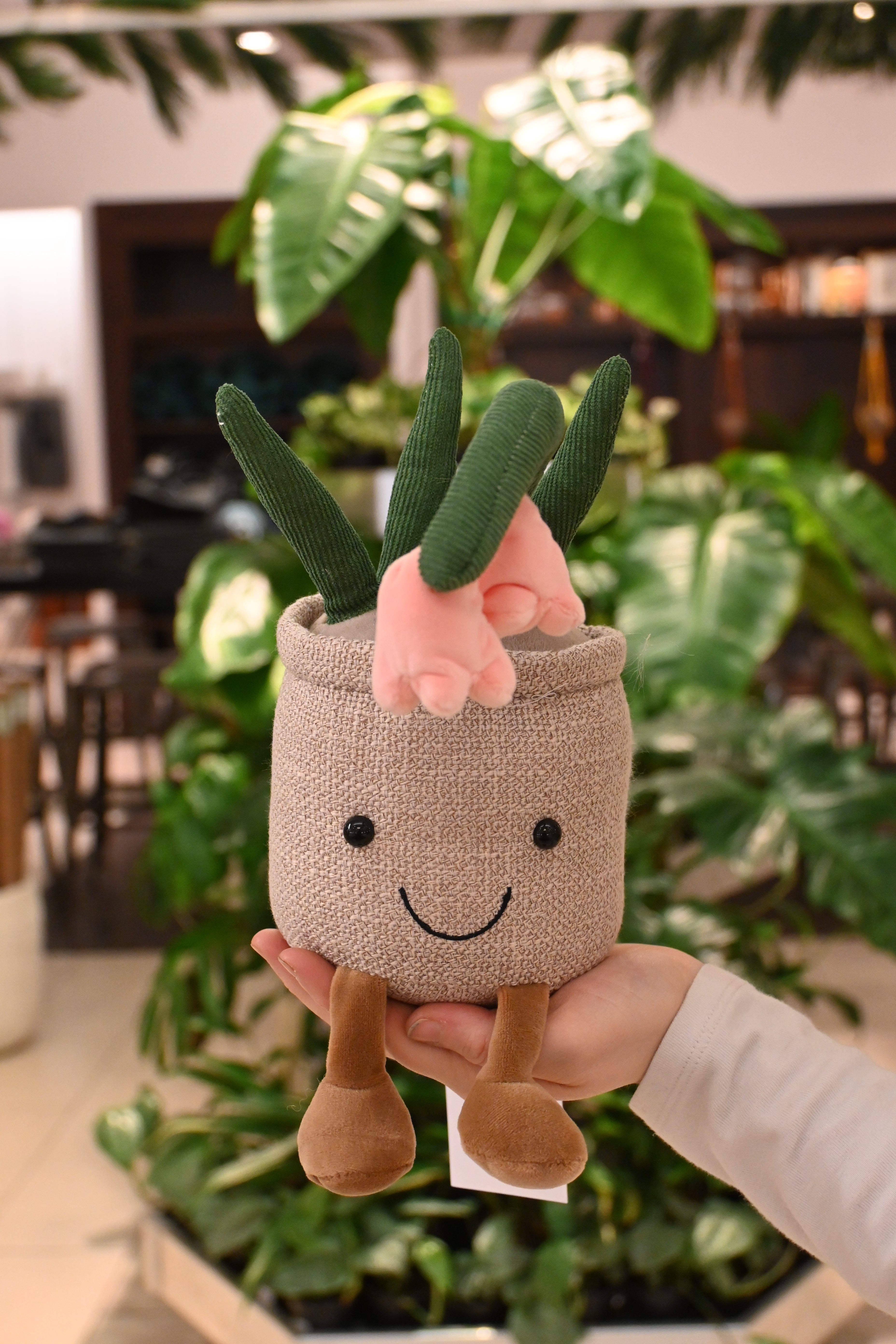 Flowering Plant Plush Lost In The Forrest flowering-plant-plush-lost-in-the-forrest