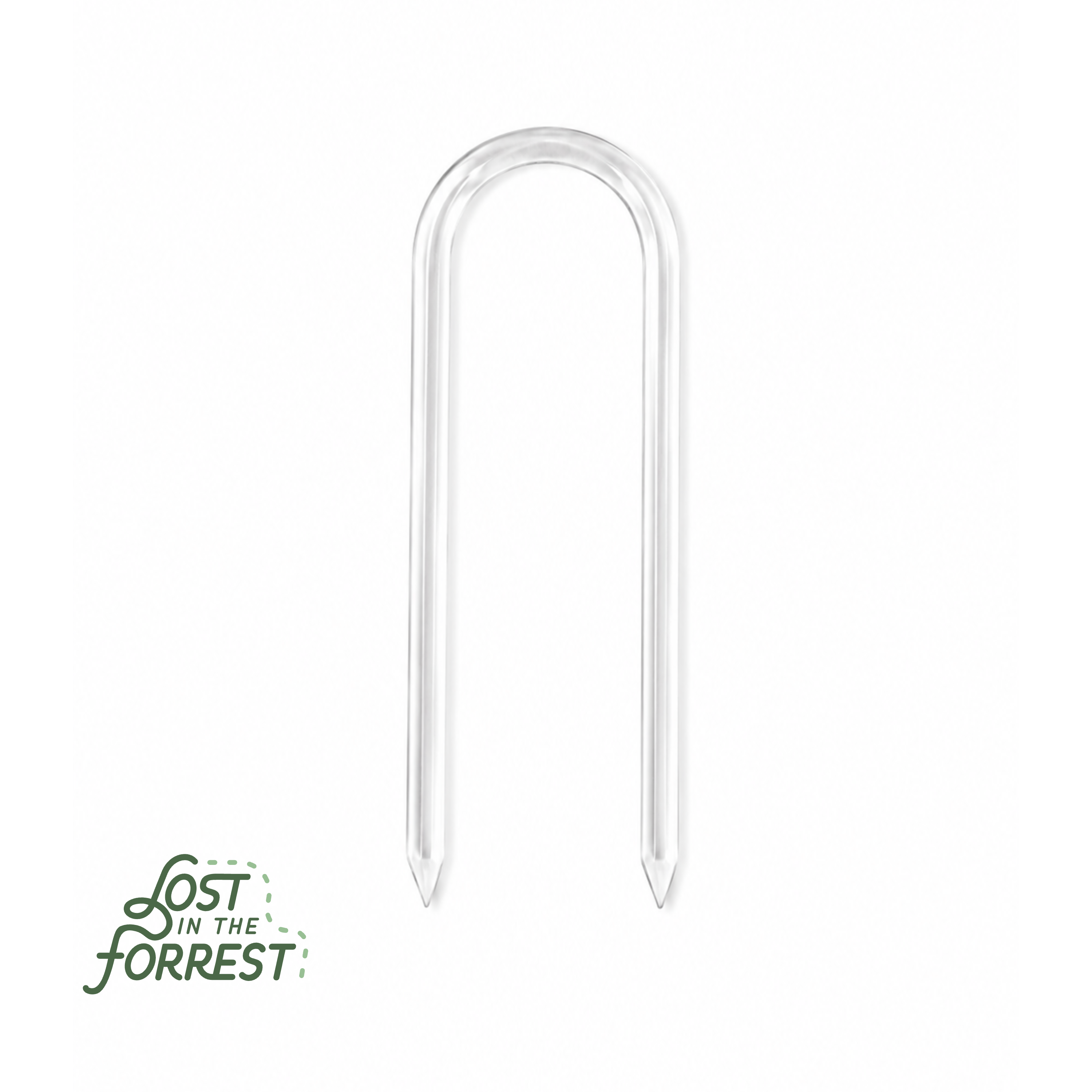 Glassvine Hoop