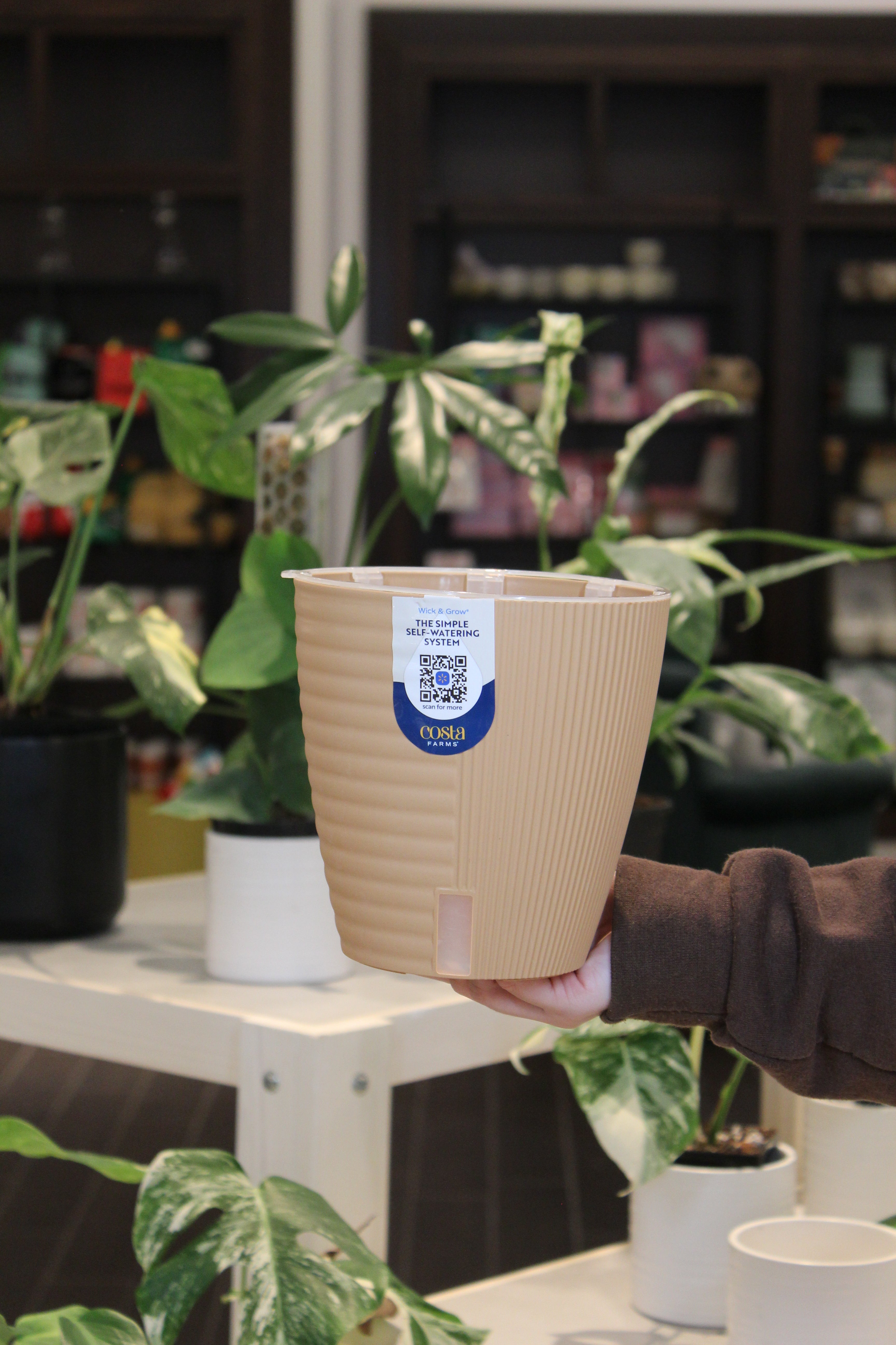 large self watering pots for plants Costa Farms Wick & Grow – Lost in the Forrest