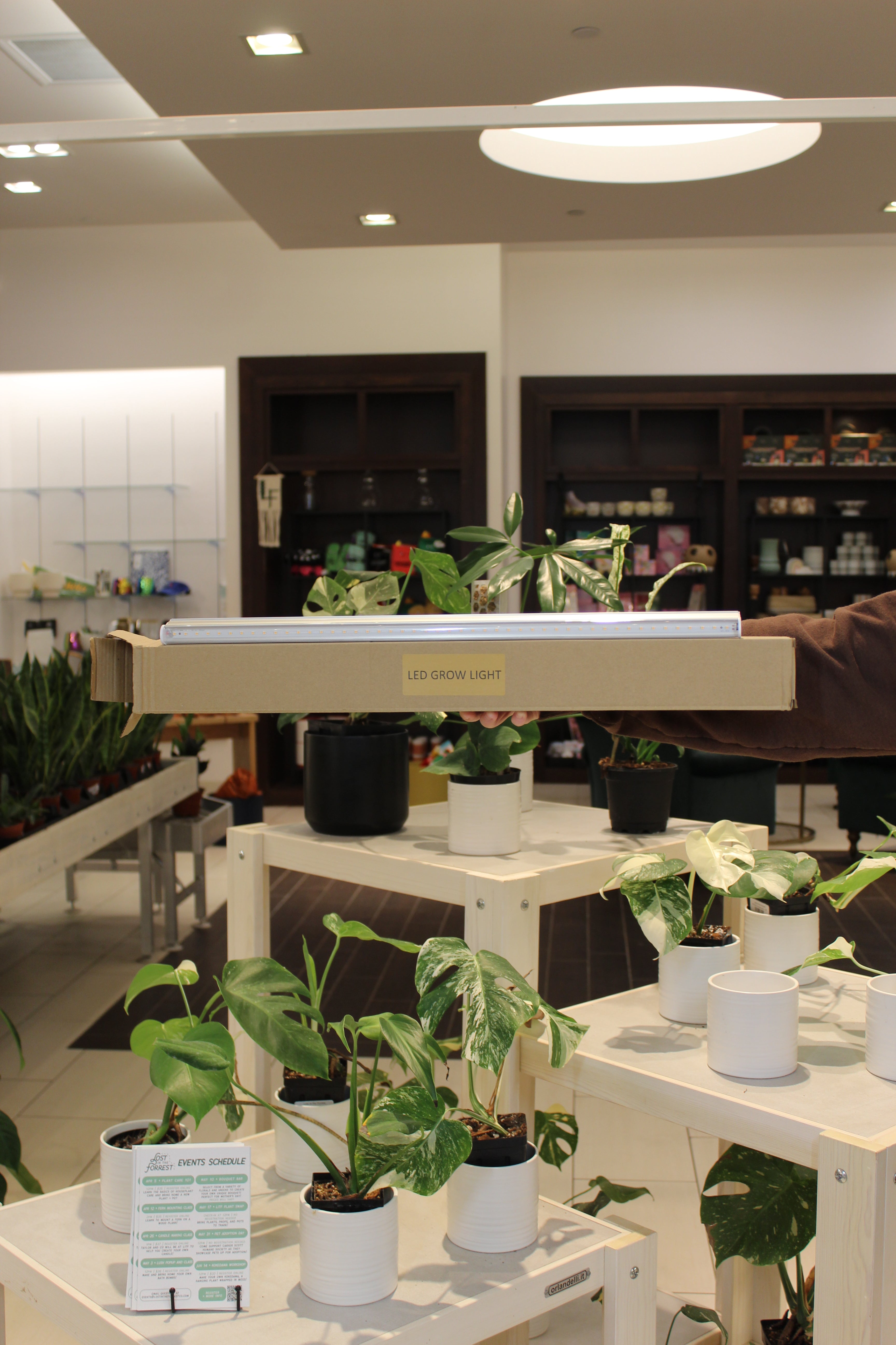 T5 Grow Light (Case of 4)