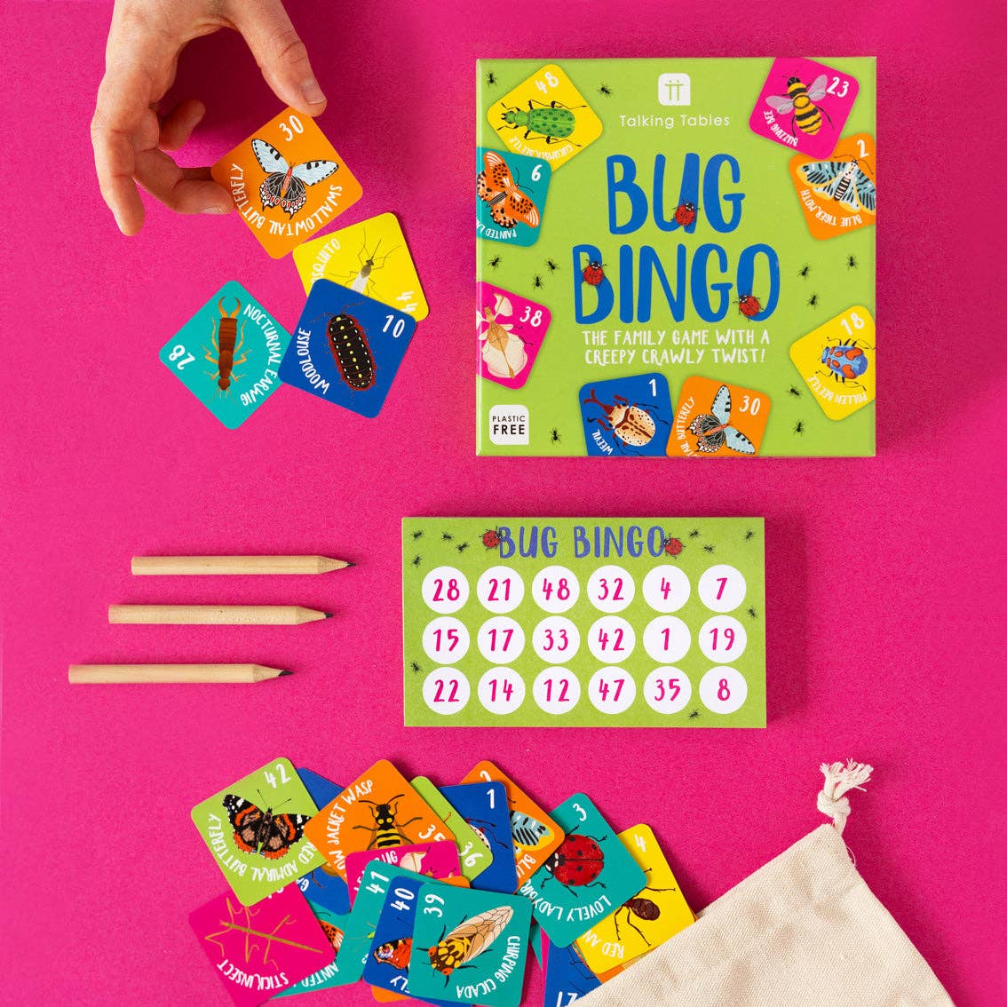 Family Fun Bug Bingo Game