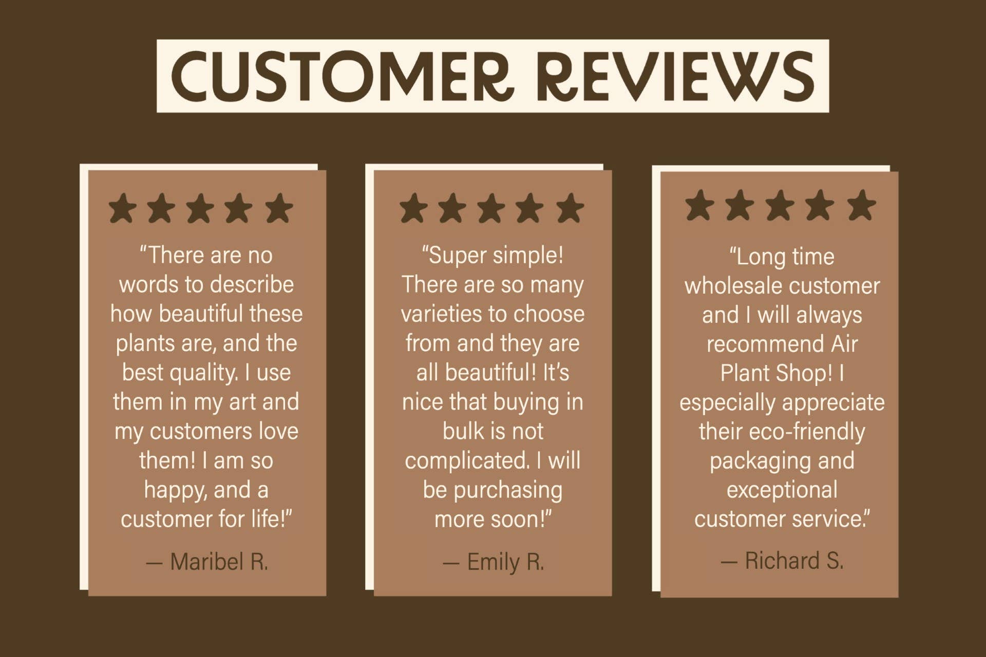 Air Plant Fertilizer