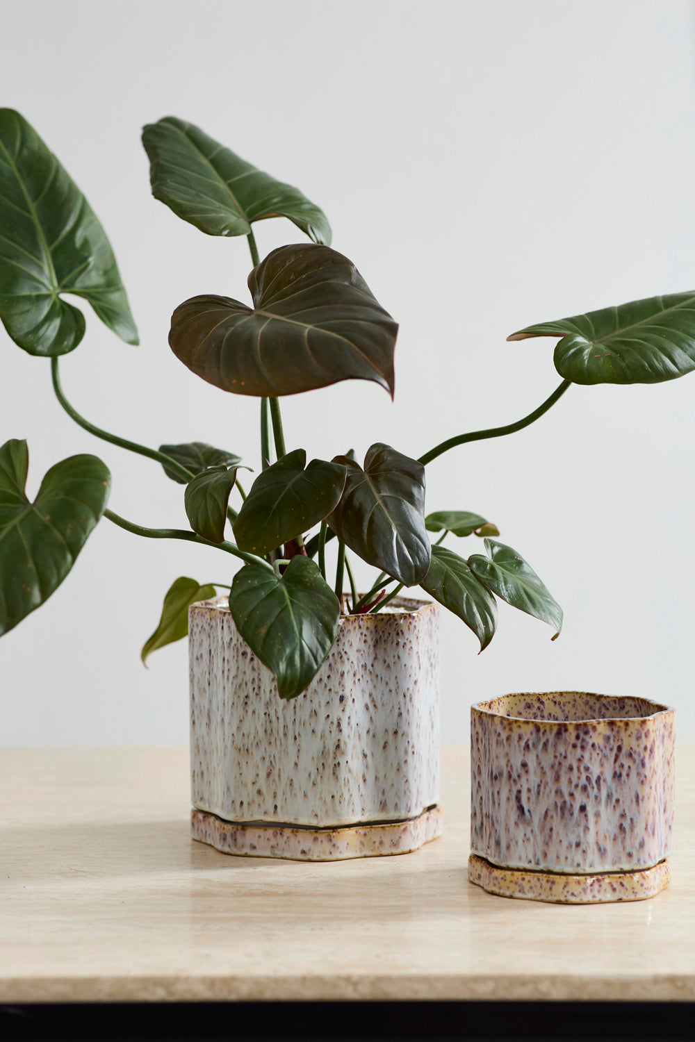 Avenell Pot with Saucer