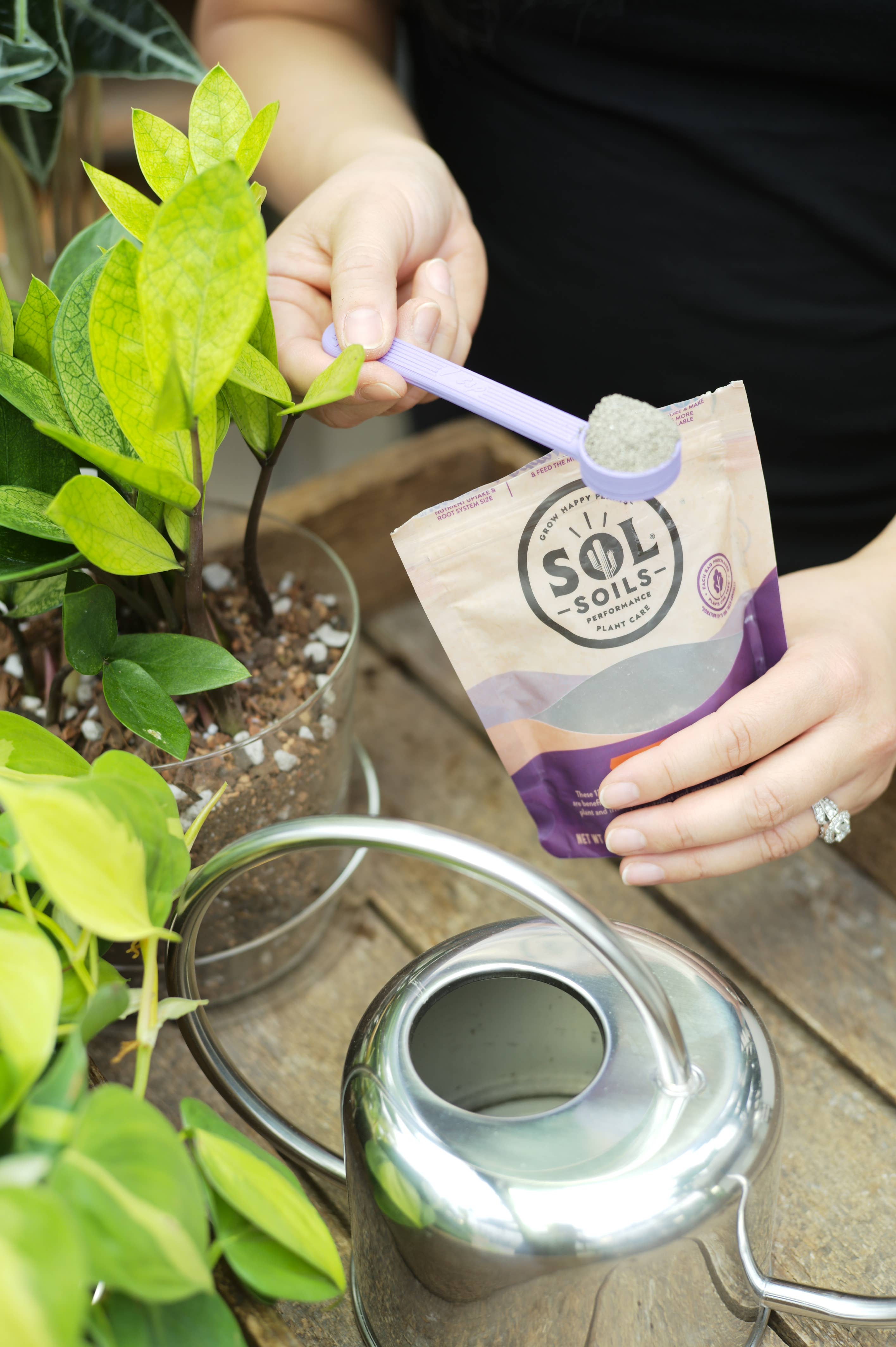 Sol Biotics - Repot Recovery