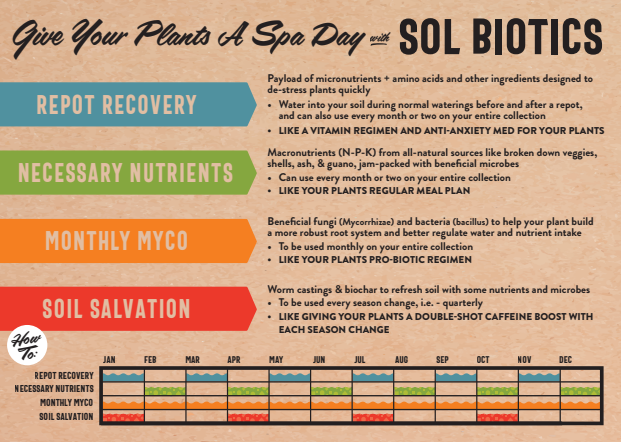 Sol Biotics - Repot Recovery